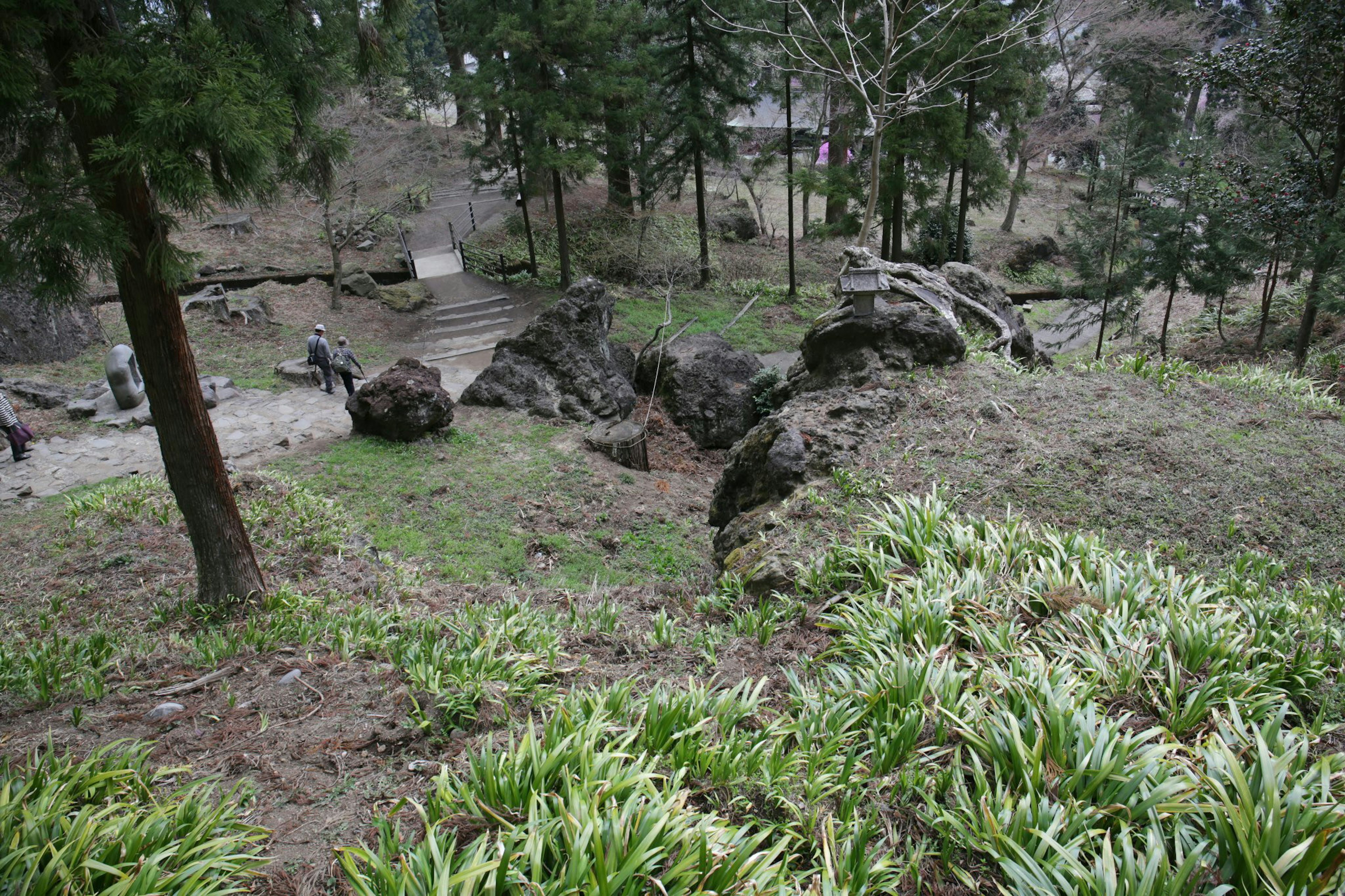 緑豊かな庭園の中に大きな岩と草が見える風景