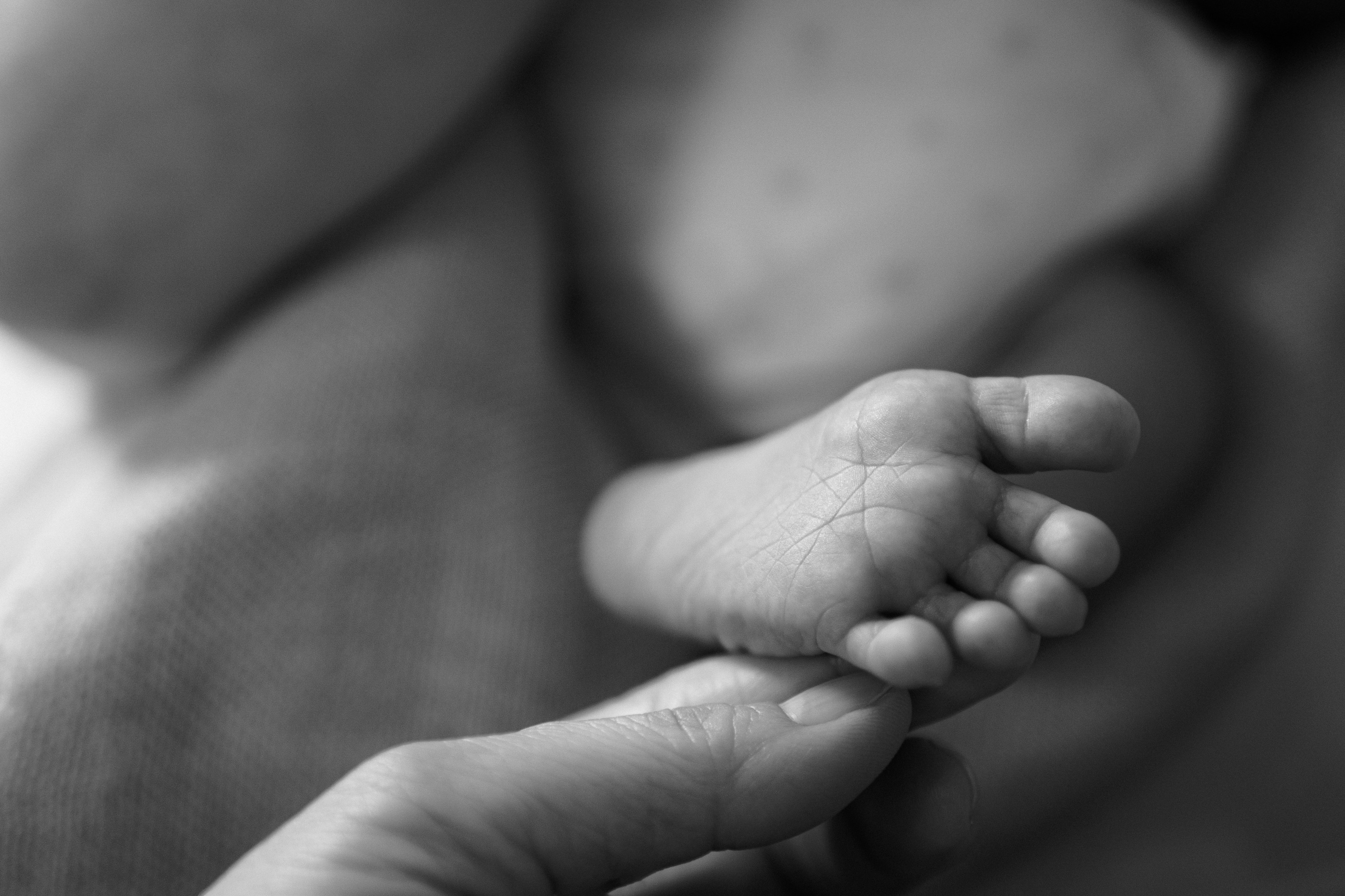 Monochrome photo capturing the gentle touch between a baby foot and a hand