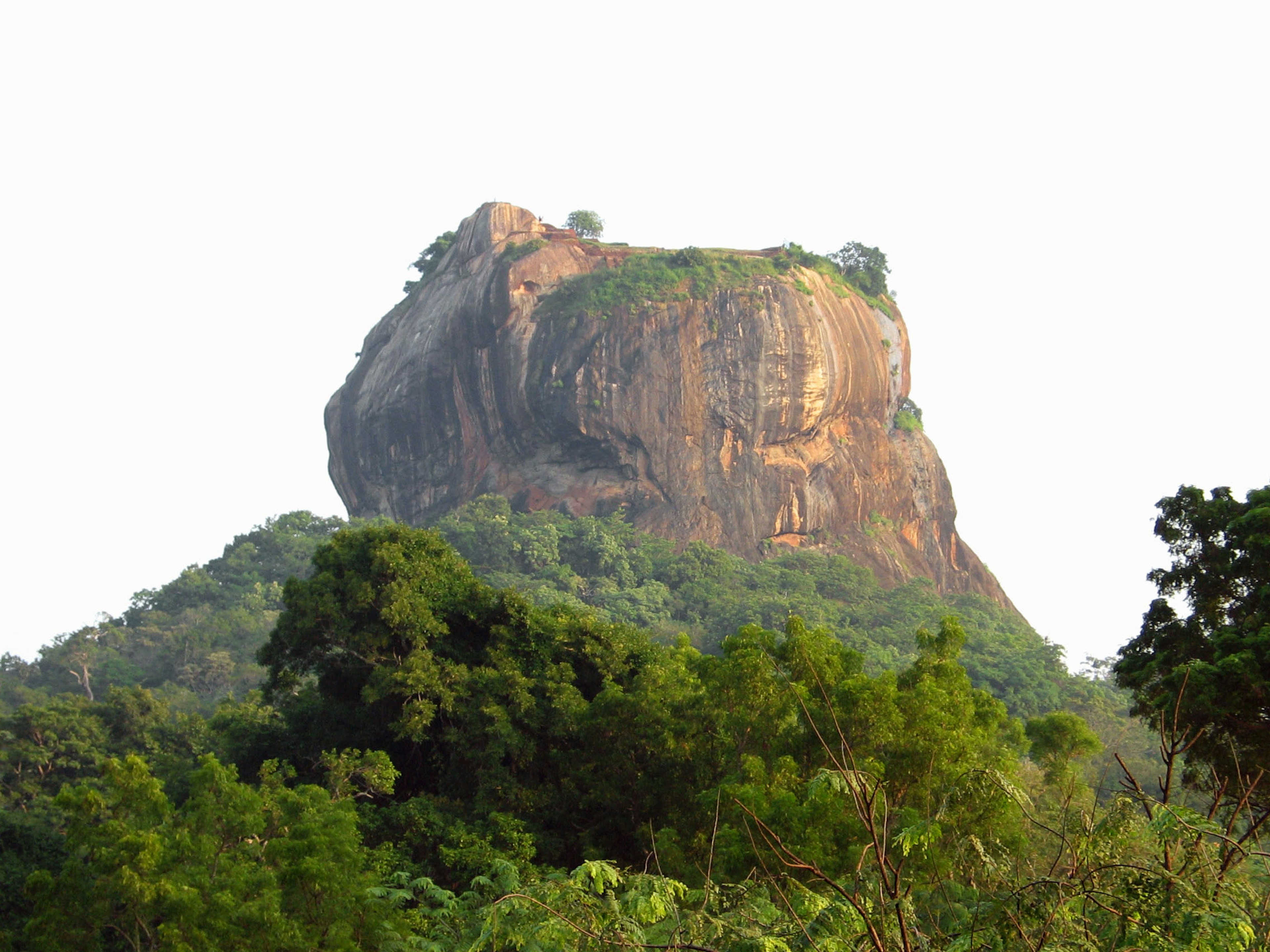 Scenic view of a rocky hill surrounded by lush greenery