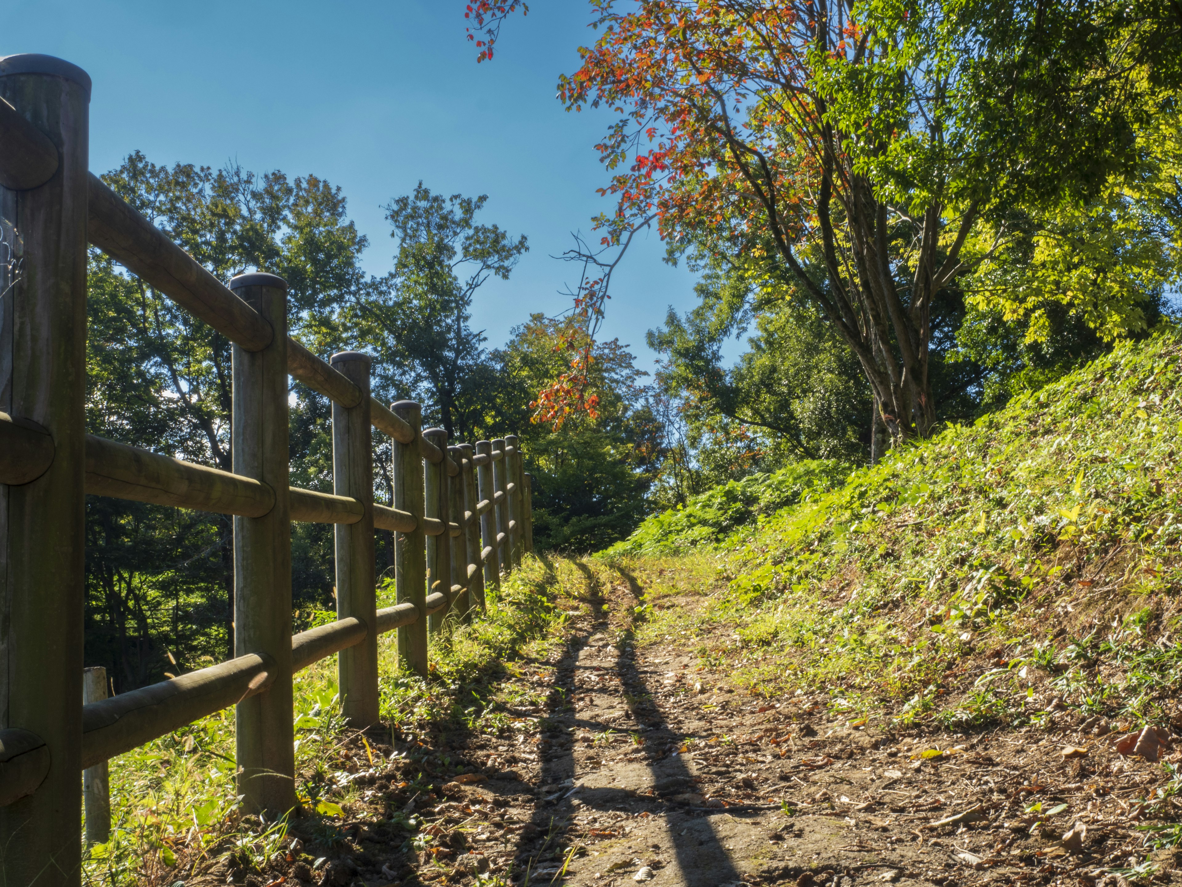 Un paysage naturel avec un chemin vert et une clôture en bois