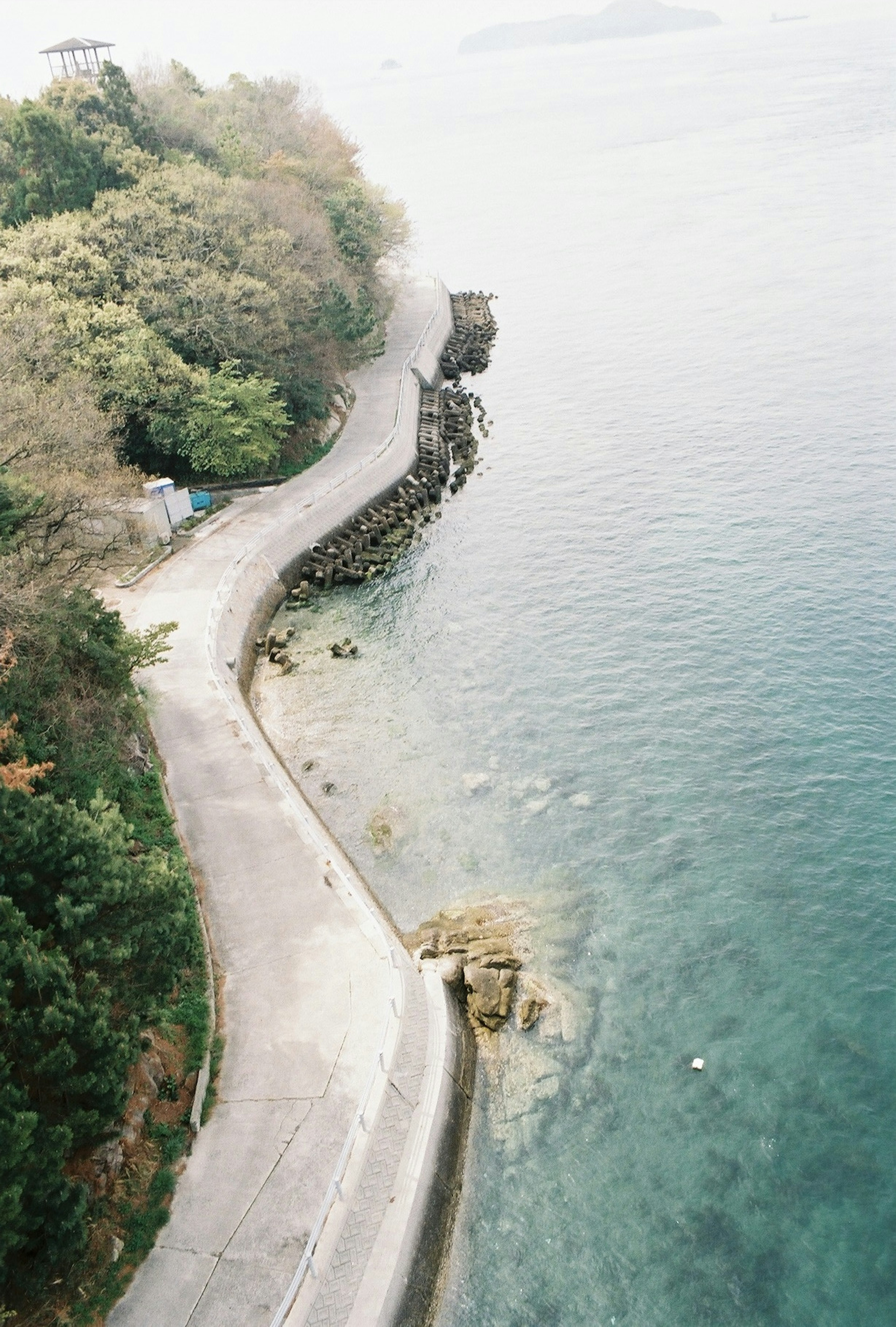 彎曲的道路俯瞰海洋和郁郁蔥蔥的綠地