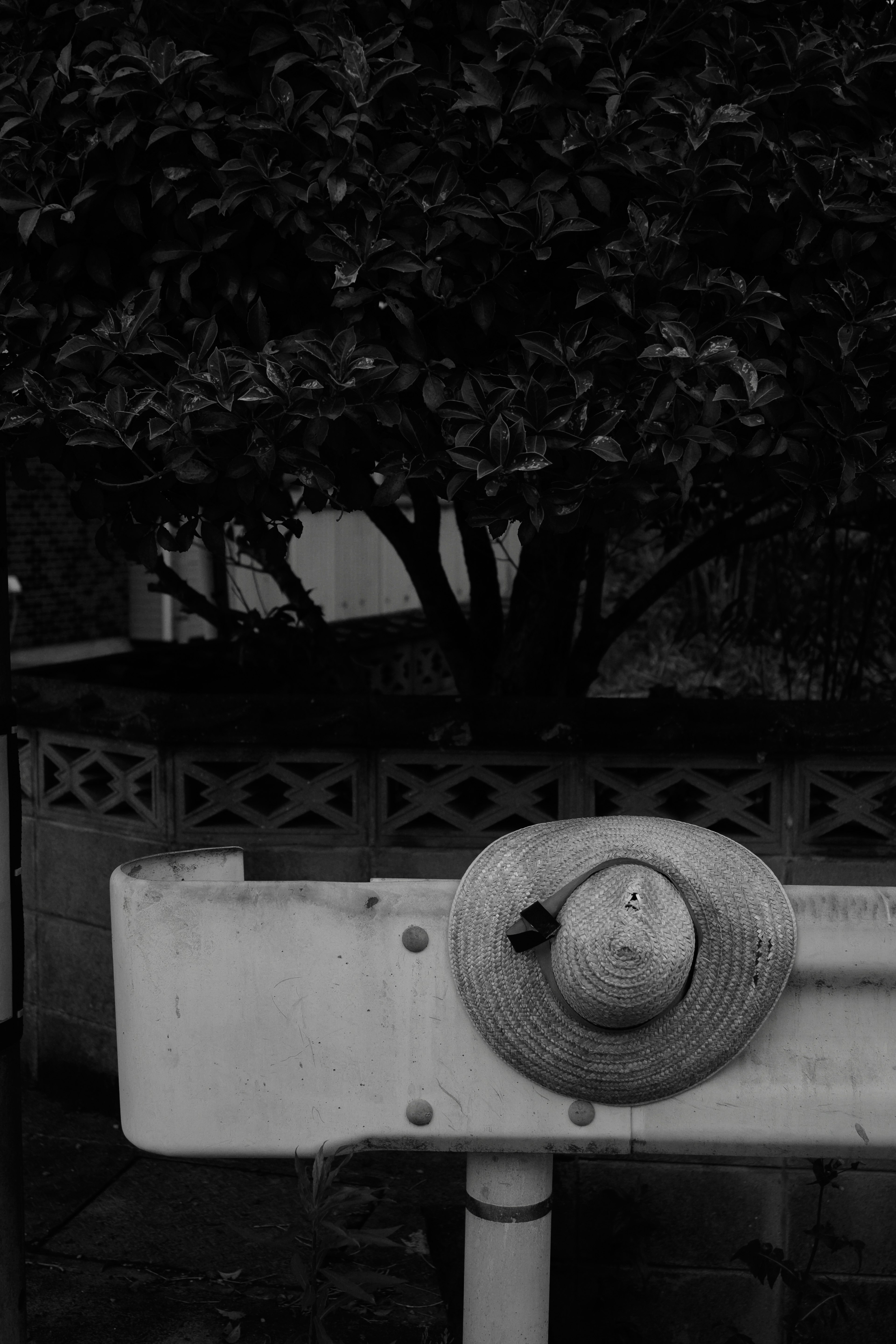 Imagen en blanco y negro que muestra un sombrero en una cerca blanca con un árbol al fondo