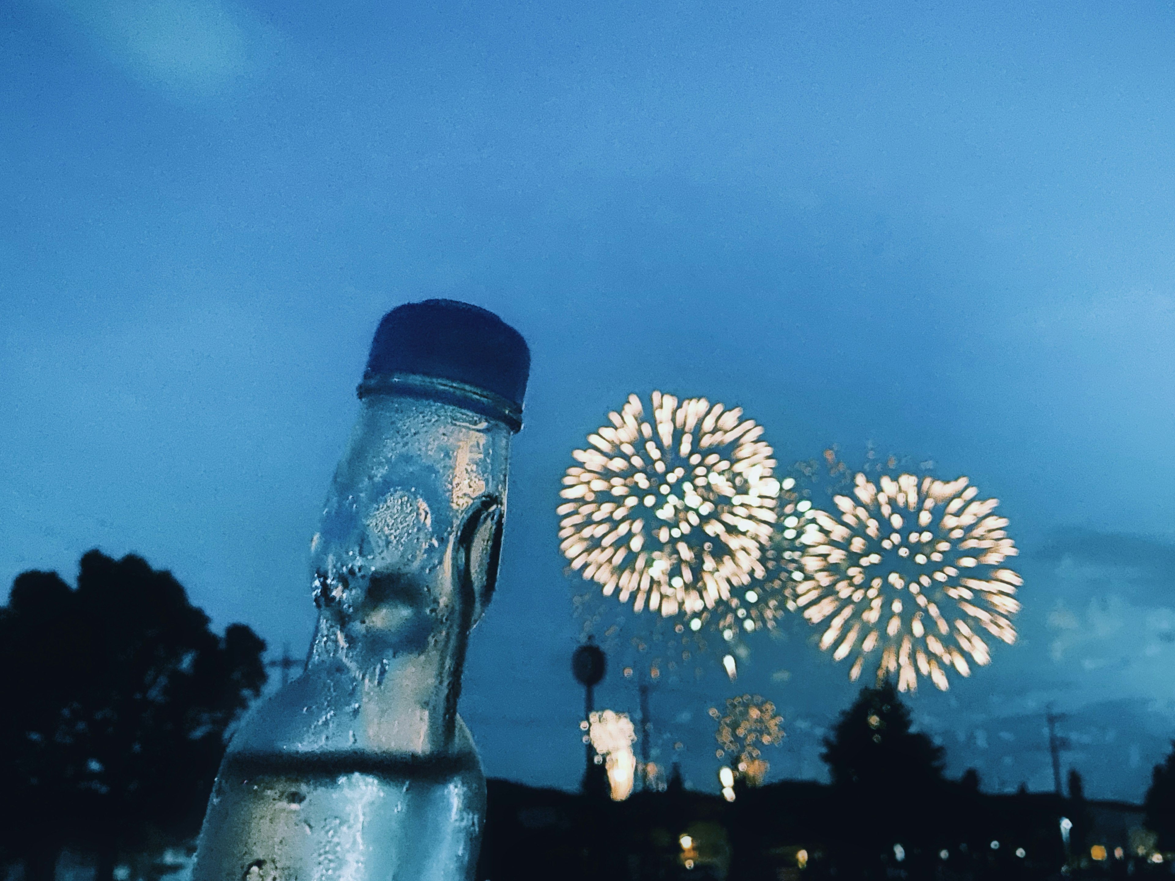 A water bottle with fireworks in the blue night sky