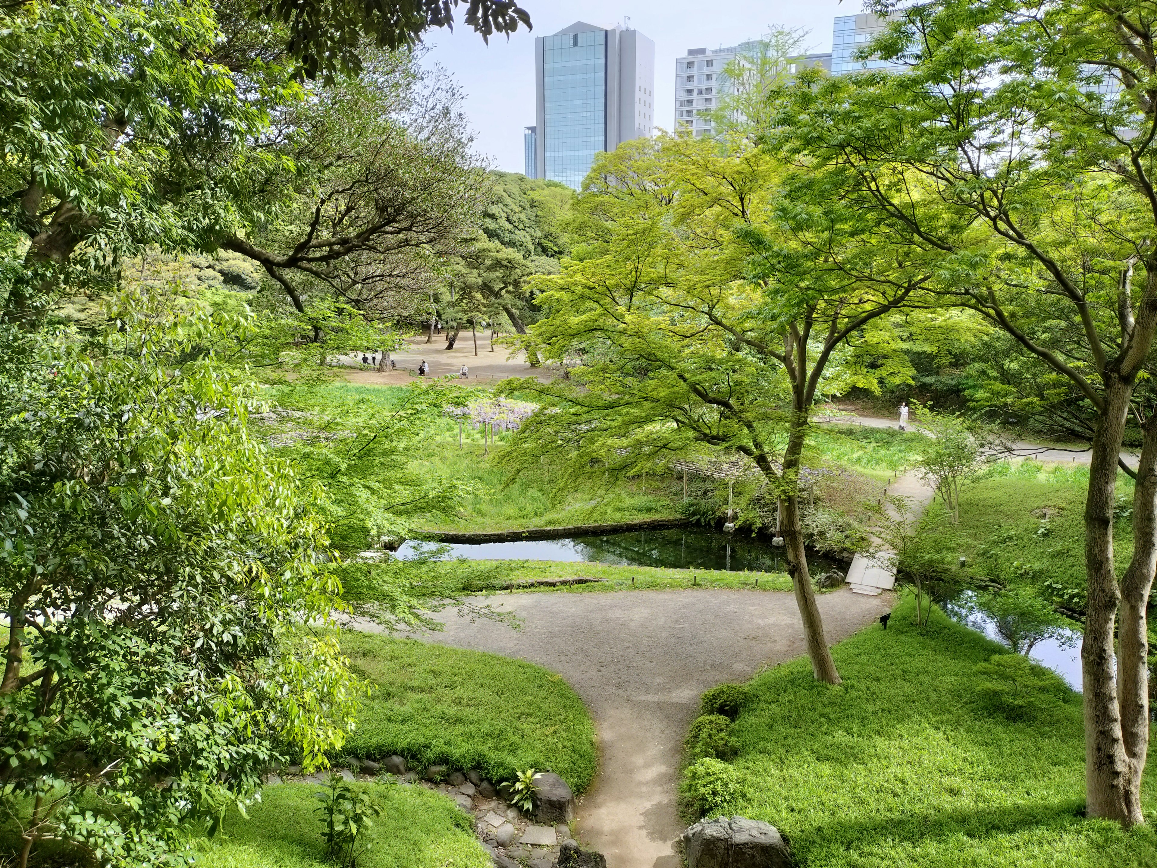 Pemandangan taman yang rimbun dengan gedung pencakar langit di latar belakang