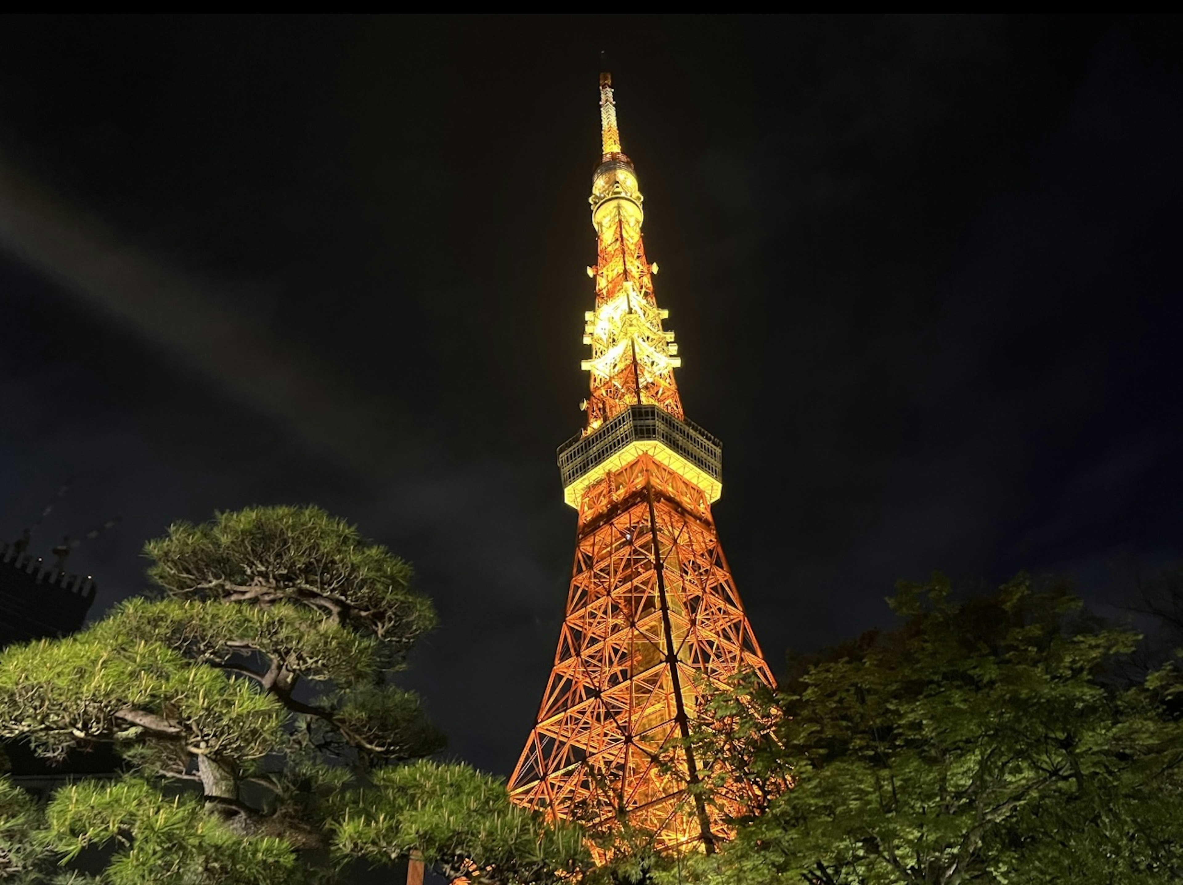 Tokyo Tower illuminated at night surrounded by greenery