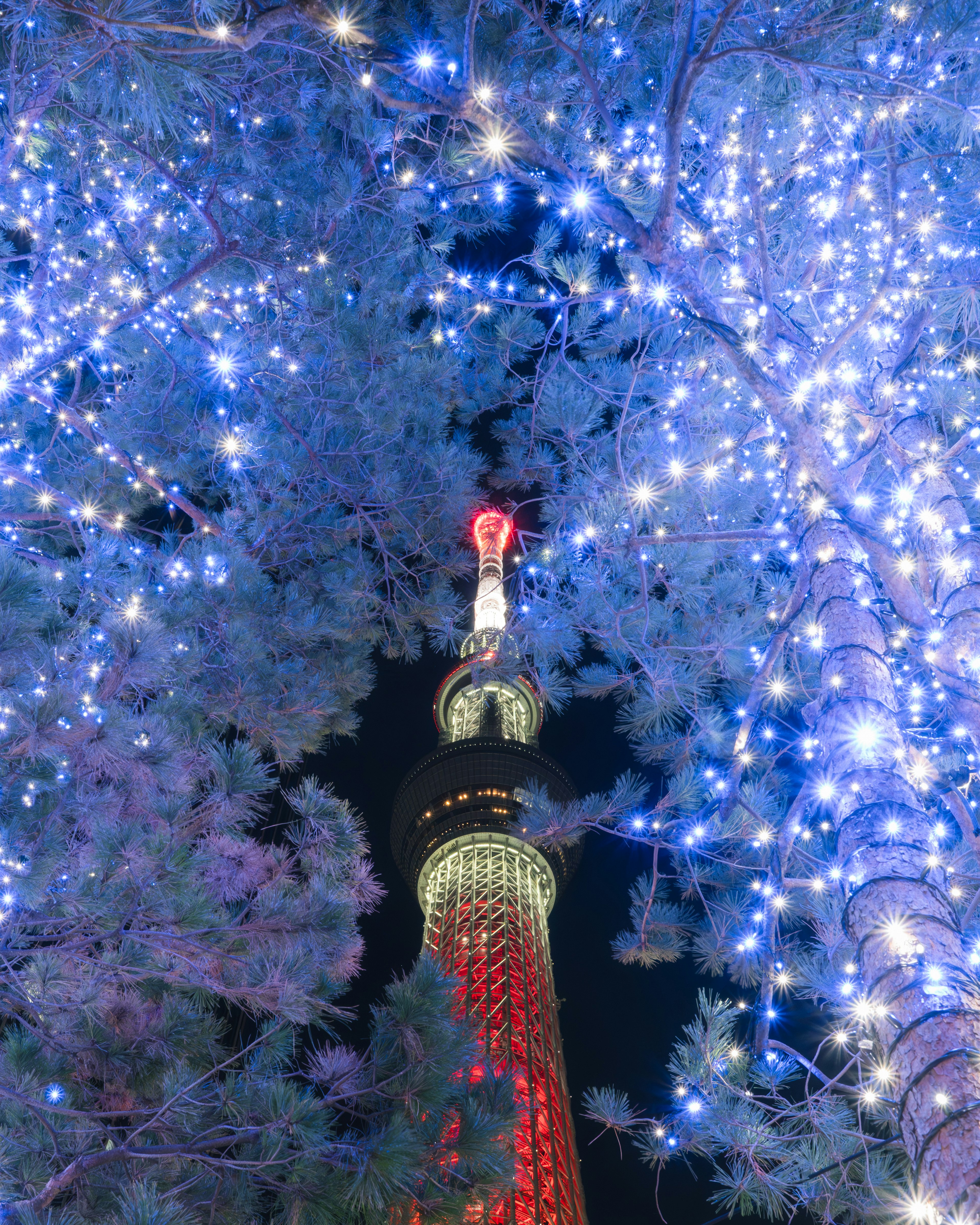 Tokyo Skytree iluminado por la noche rodeado de luces azules