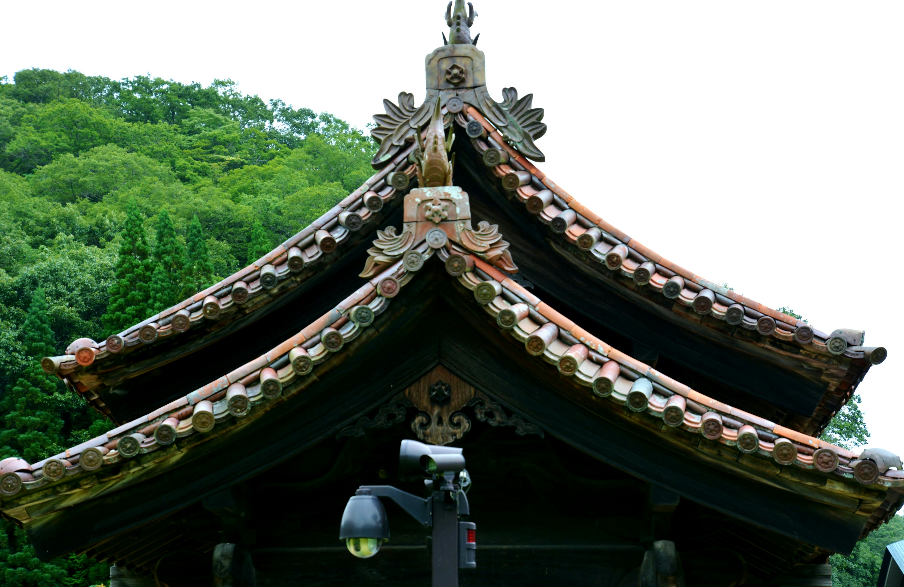 Bâtiment traditionnel avec des décorations de toit ornées entouré de verdure luxuriante