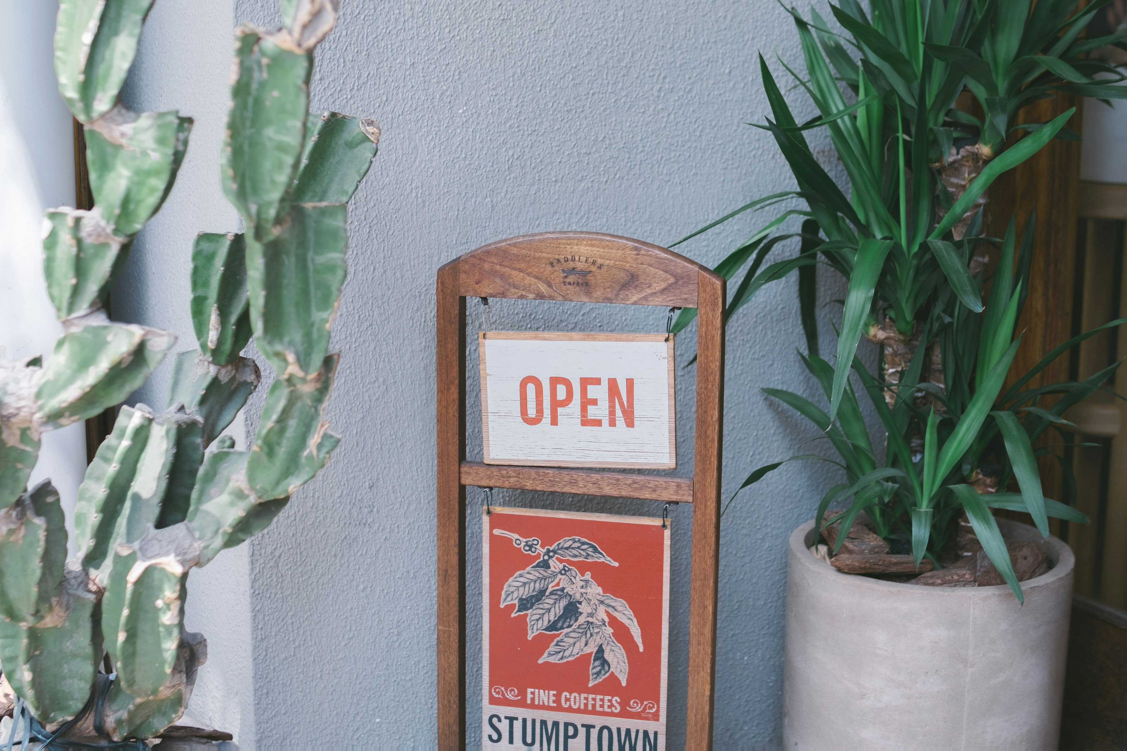 Cartel abierto en un espacio comercial con plantas