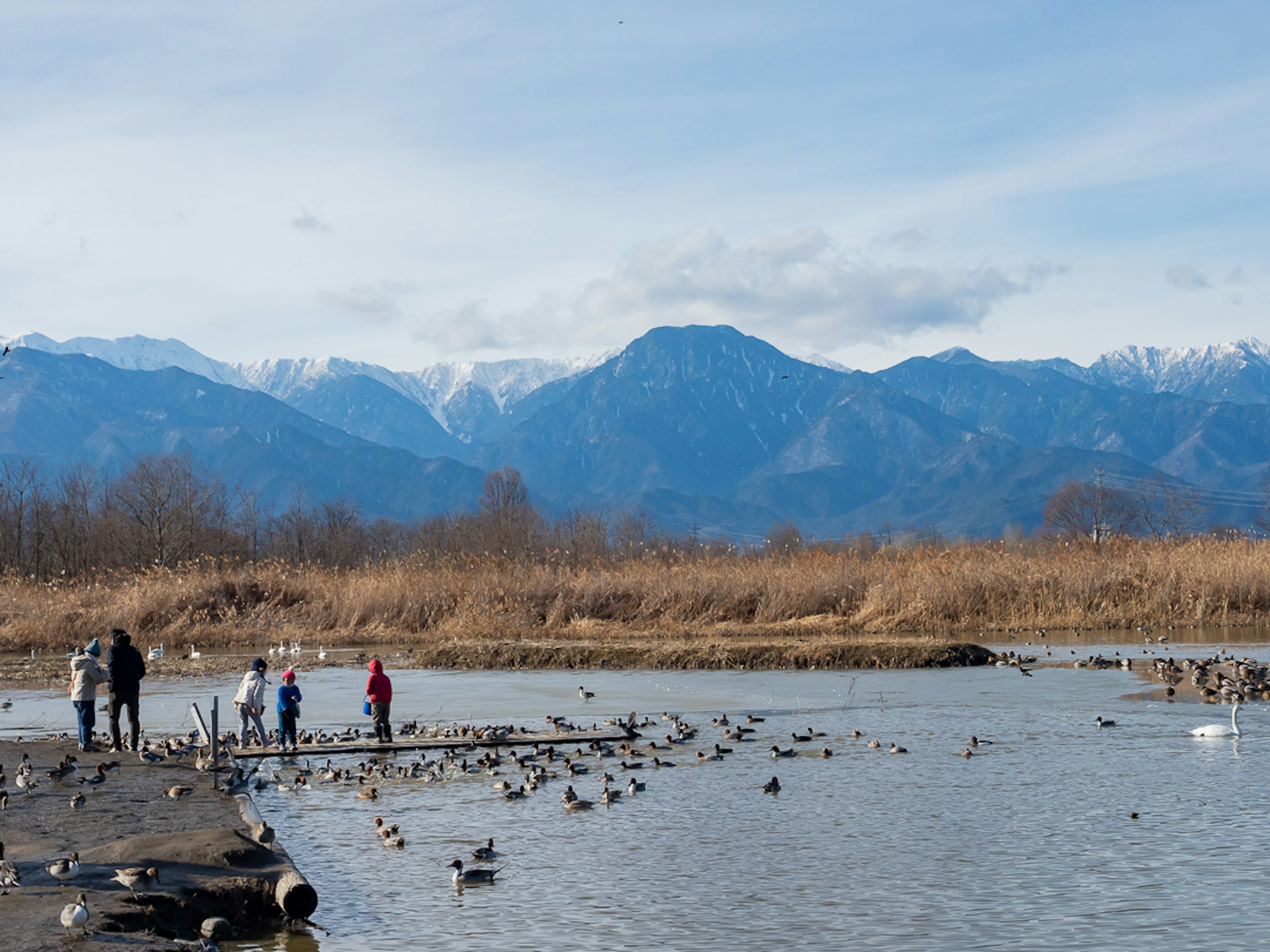 A family enjoying time by the water with snow-capped mountains in the background