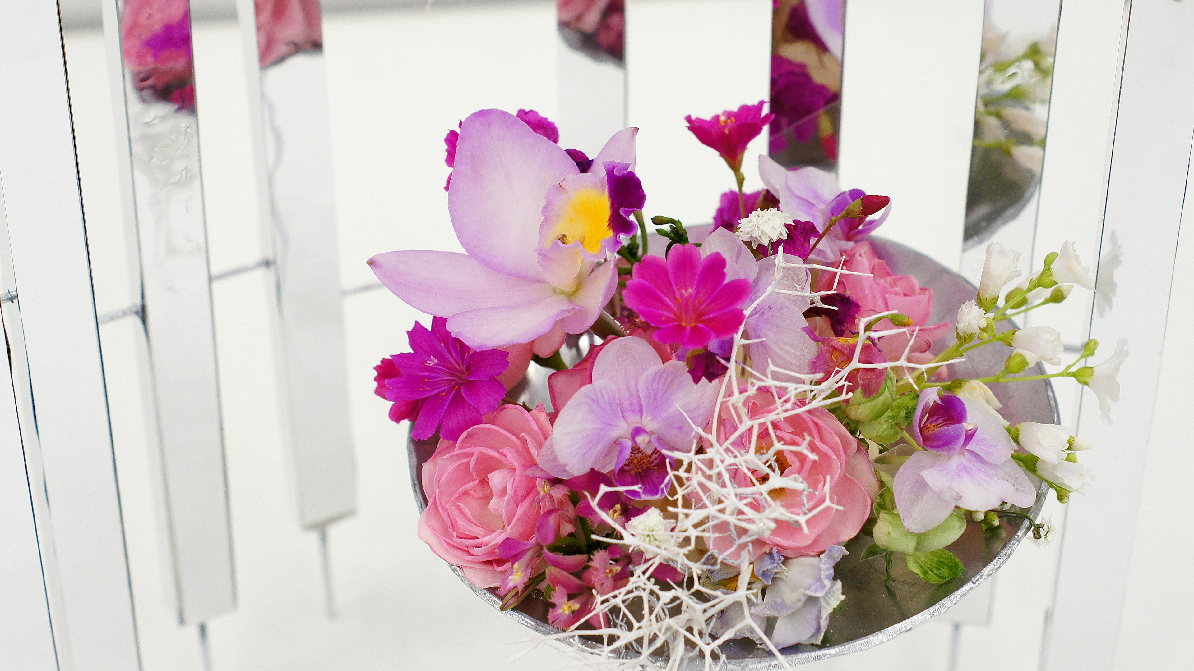 Un bouquet di fiori colorati disposto splendidamente su uno sfondo bianco