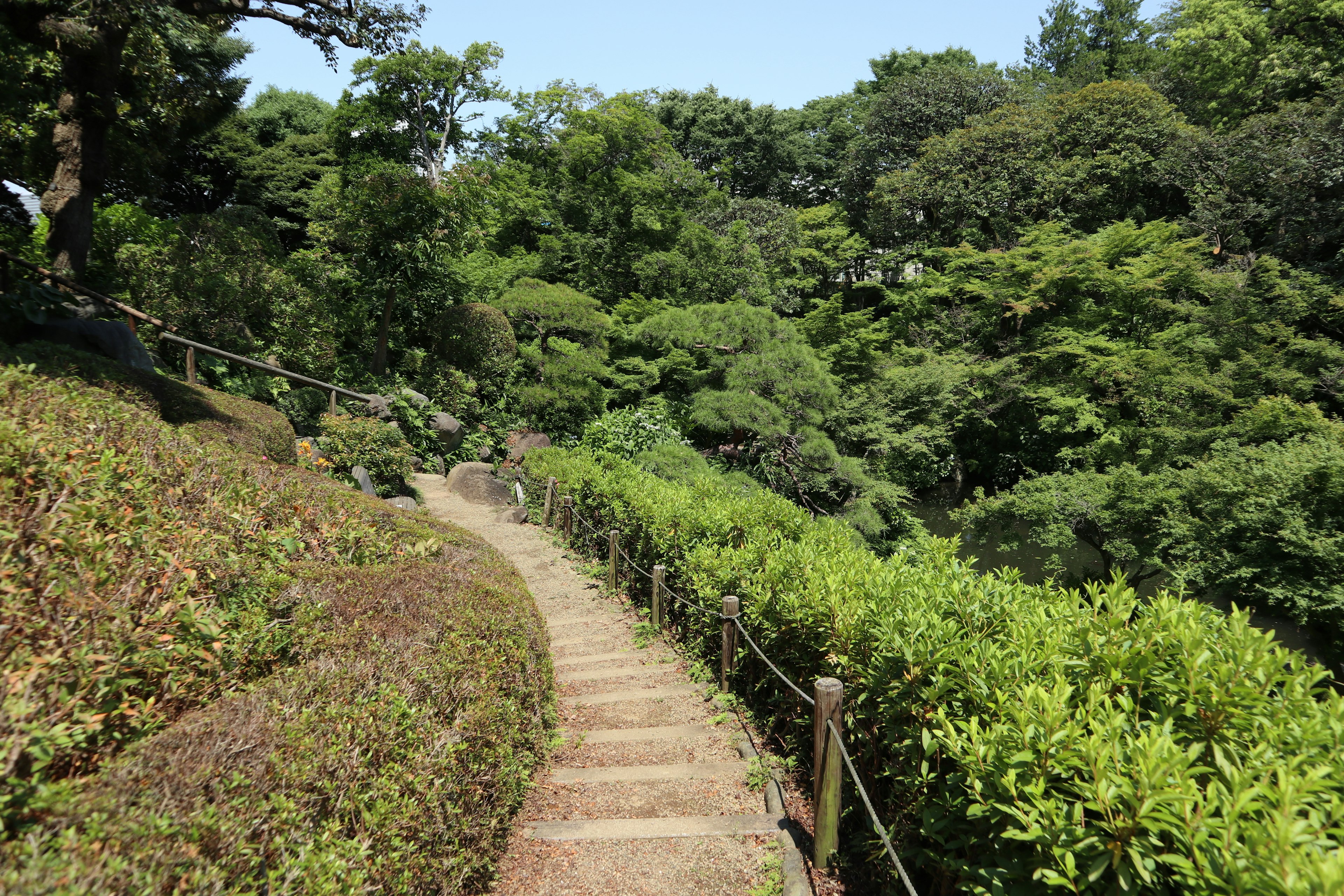 被郁郁蔥蔥的綠樹環繞的風景小徑