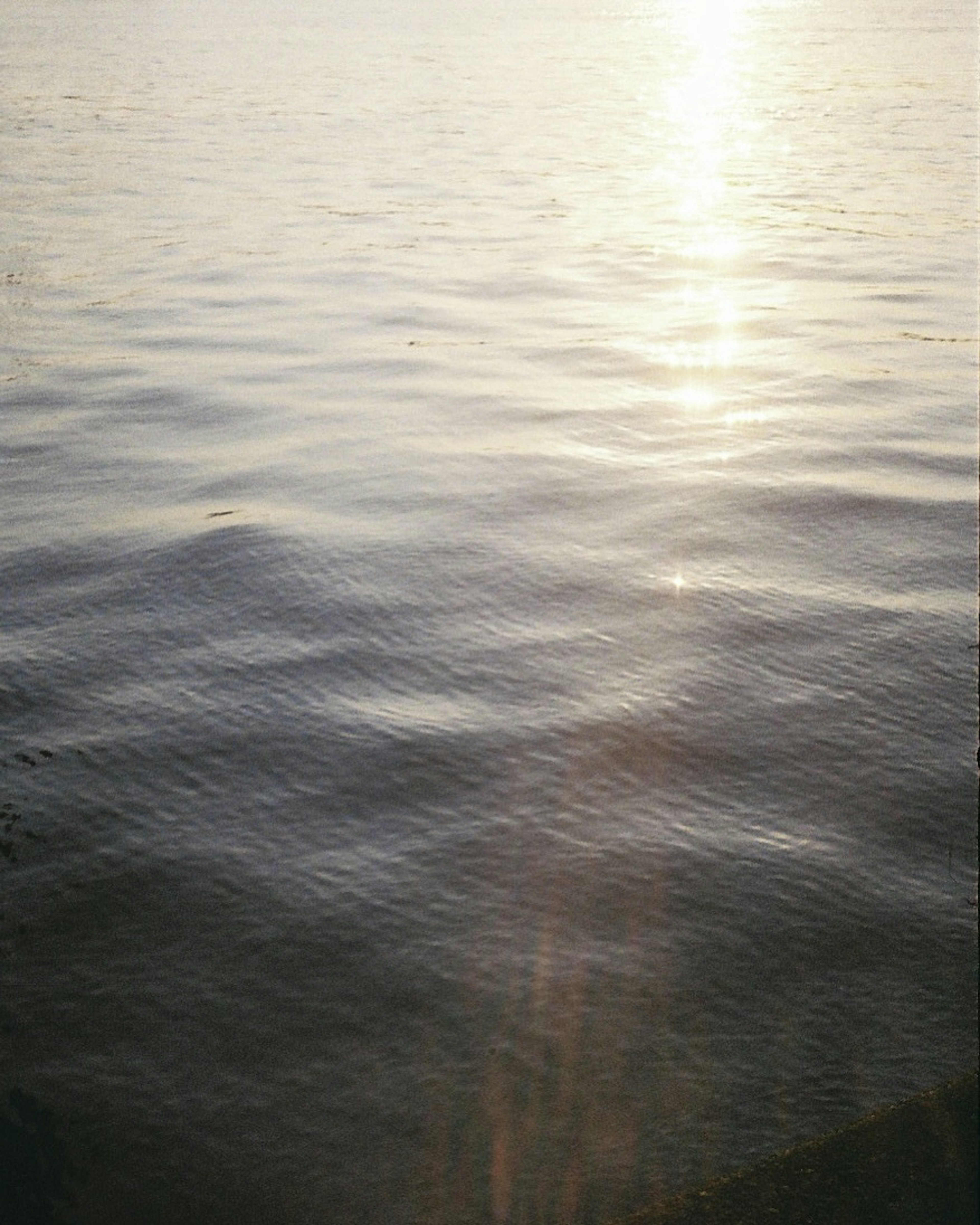 Surface d'eau calme reflétant la lumière du soleil