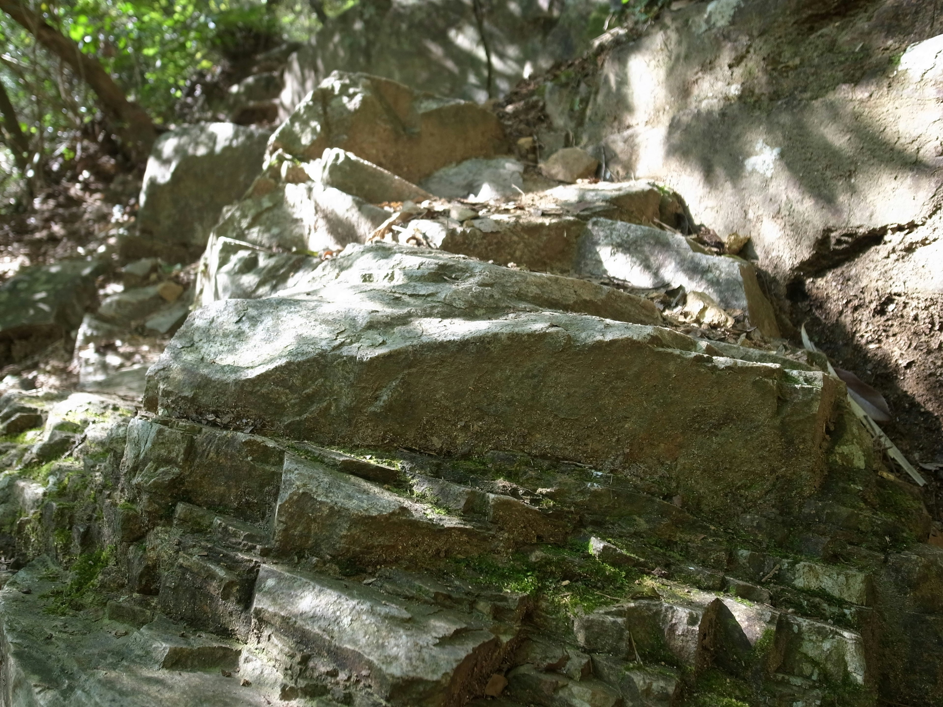 Formazione rocciosa a strati con fogliame verde in un ambiente naturale