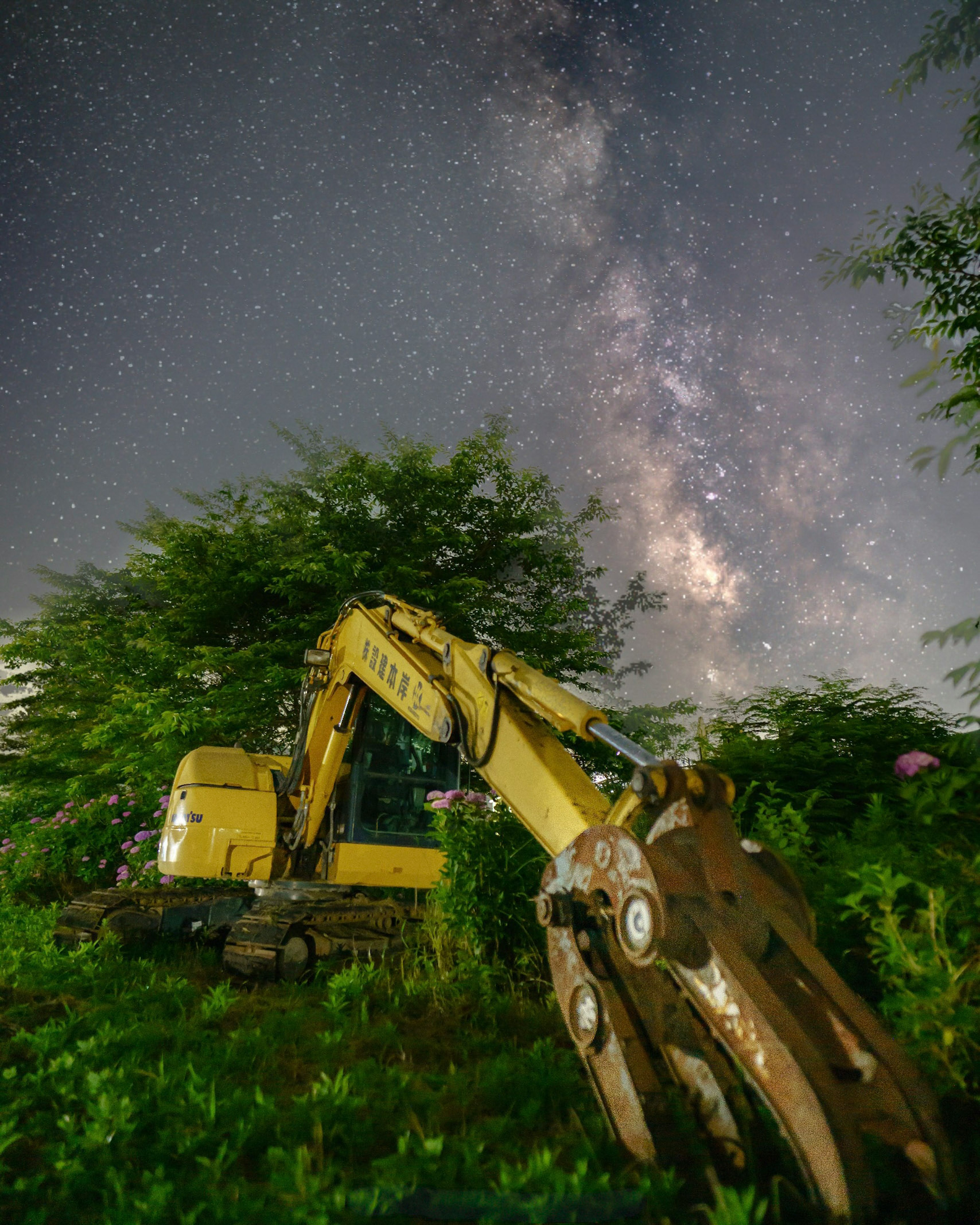 星空の下にある黄色い掘削機と緑の植物