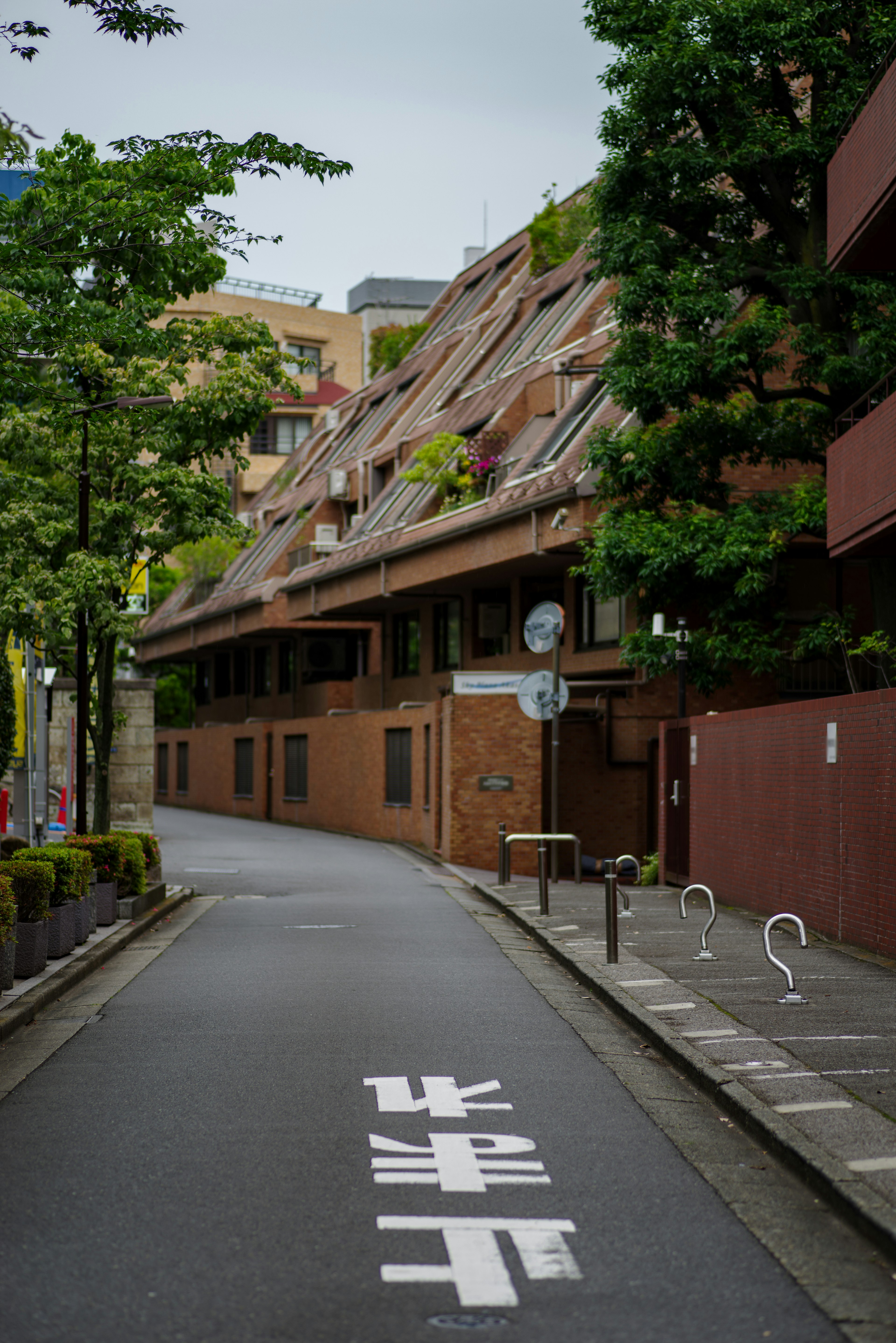 Unique building surrounded by greenery with a narrow street