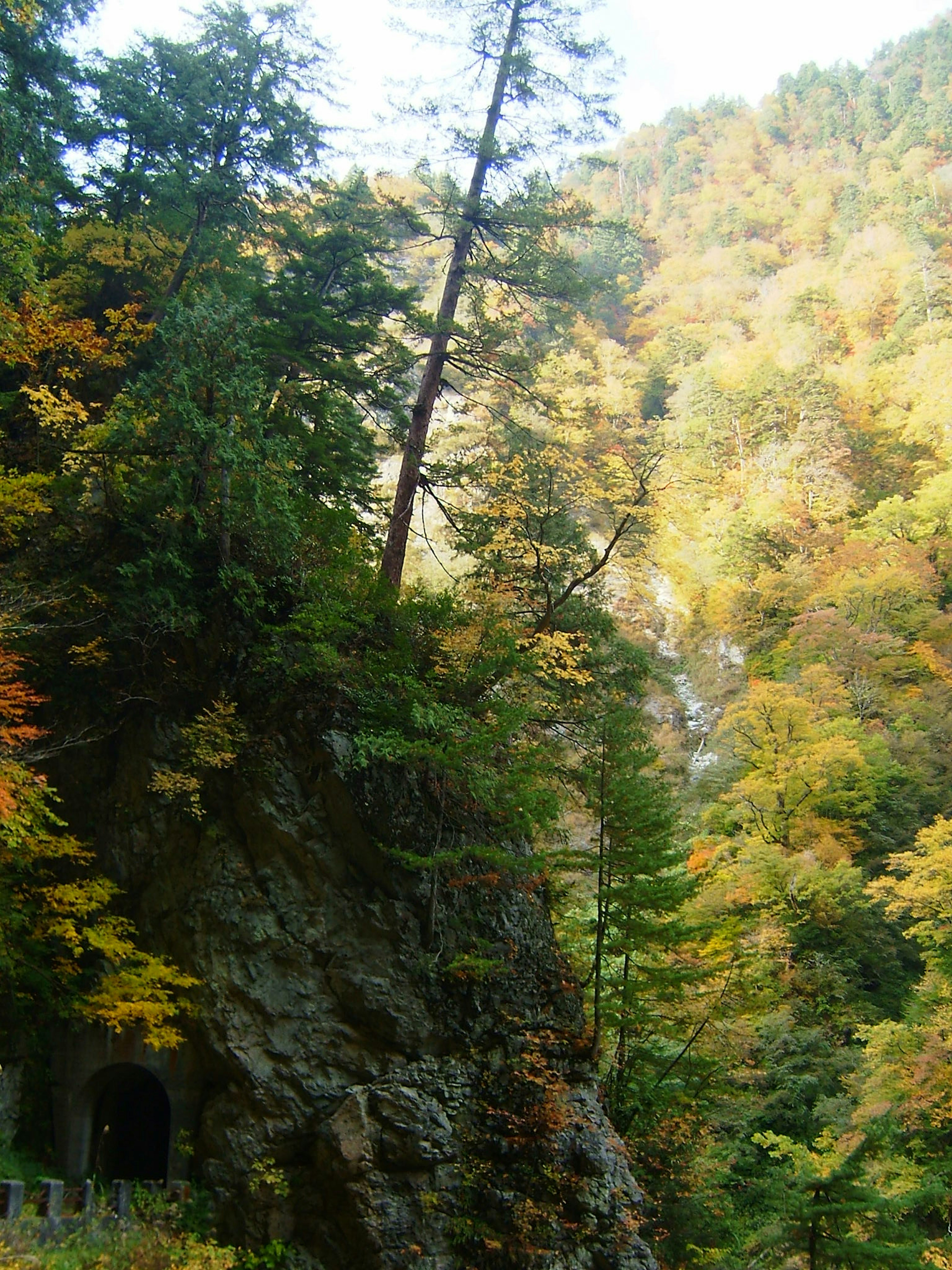 Bergabhang geschmückt mit Herbstfarben und grünen Bäumen