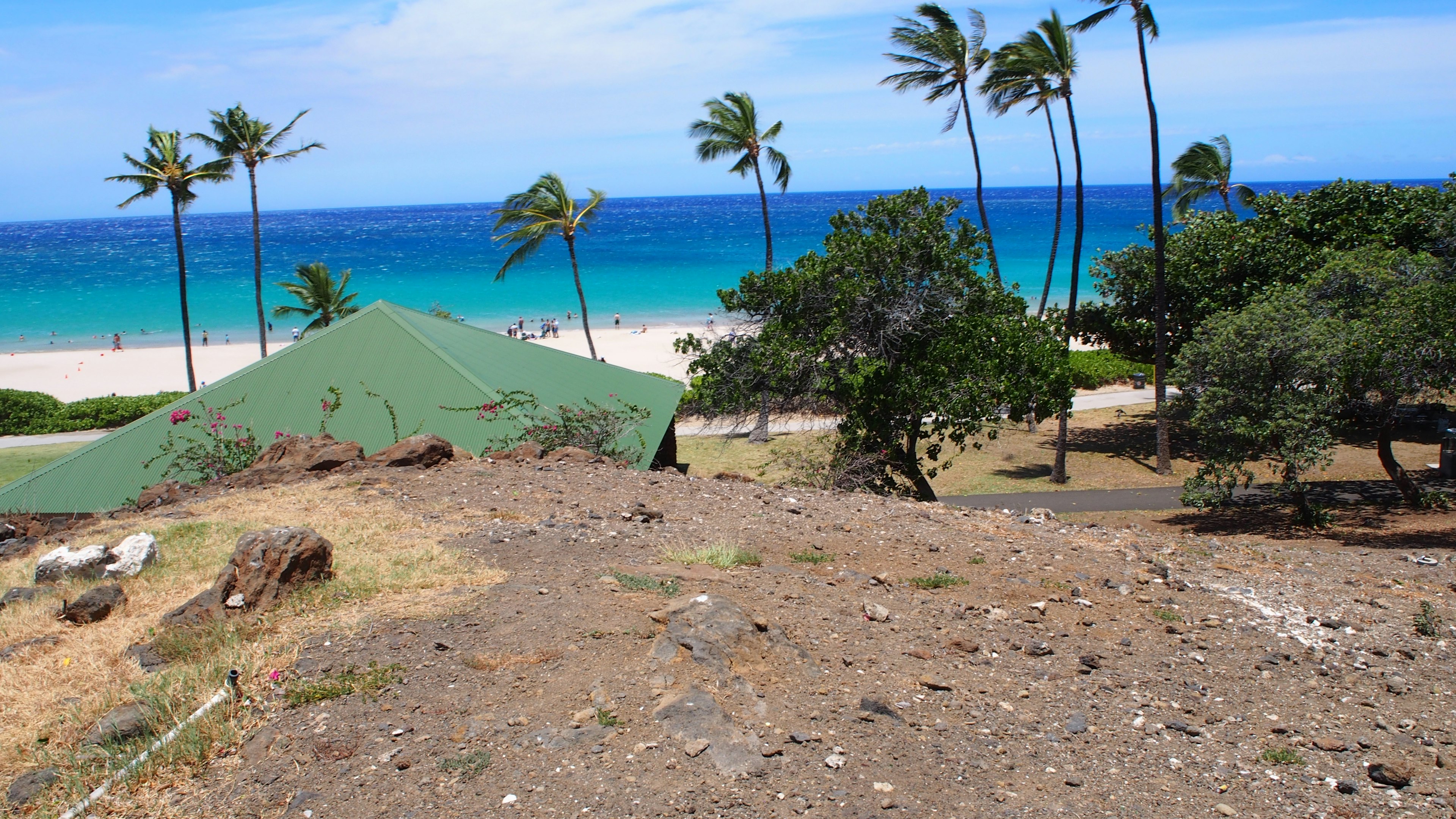 Vue pittoresque d'une plage avec océan bleu et sable blanc bâtiment au toit vert et palmiers