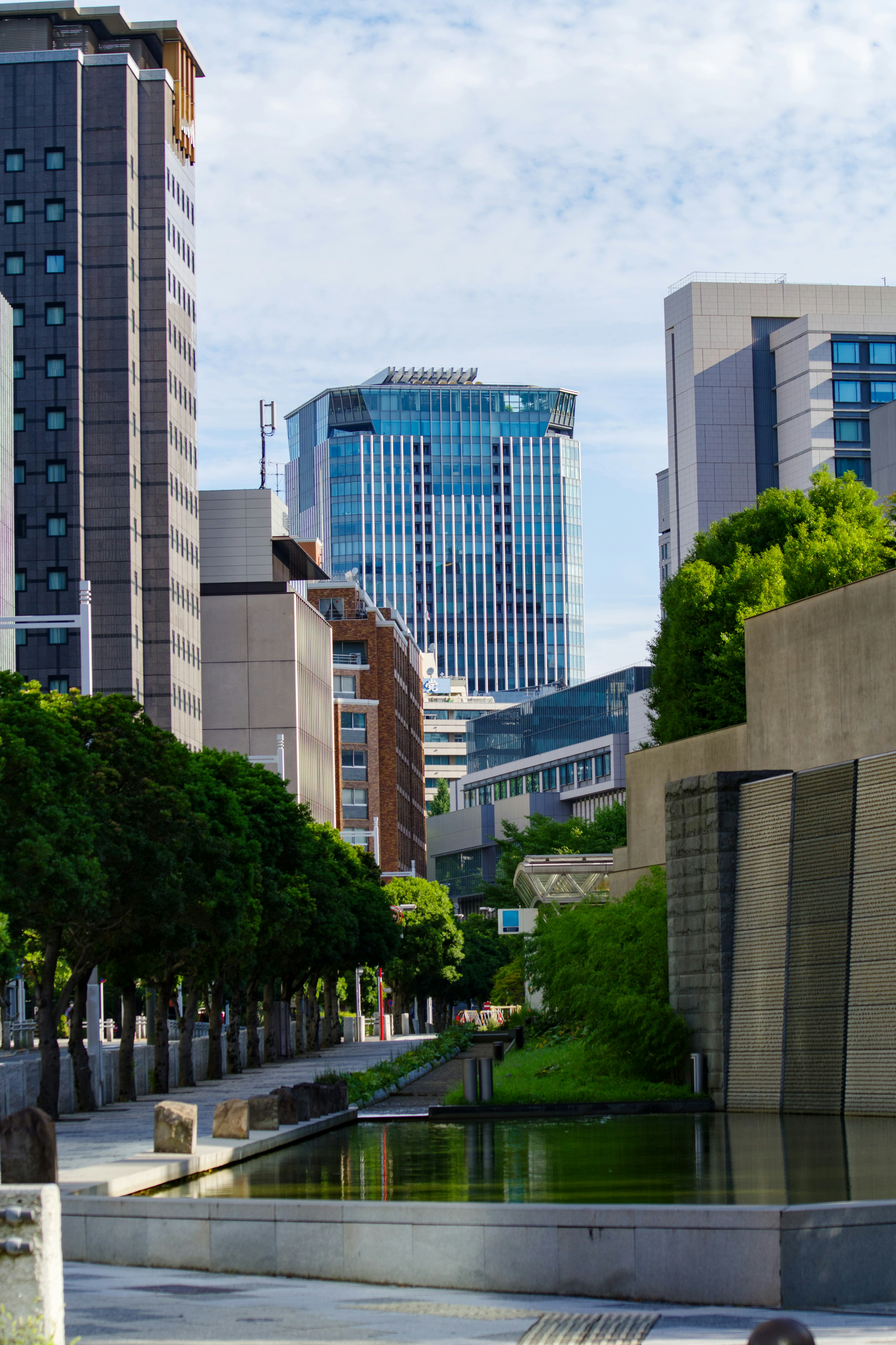 Modern buildings alongside a tree-lined canal