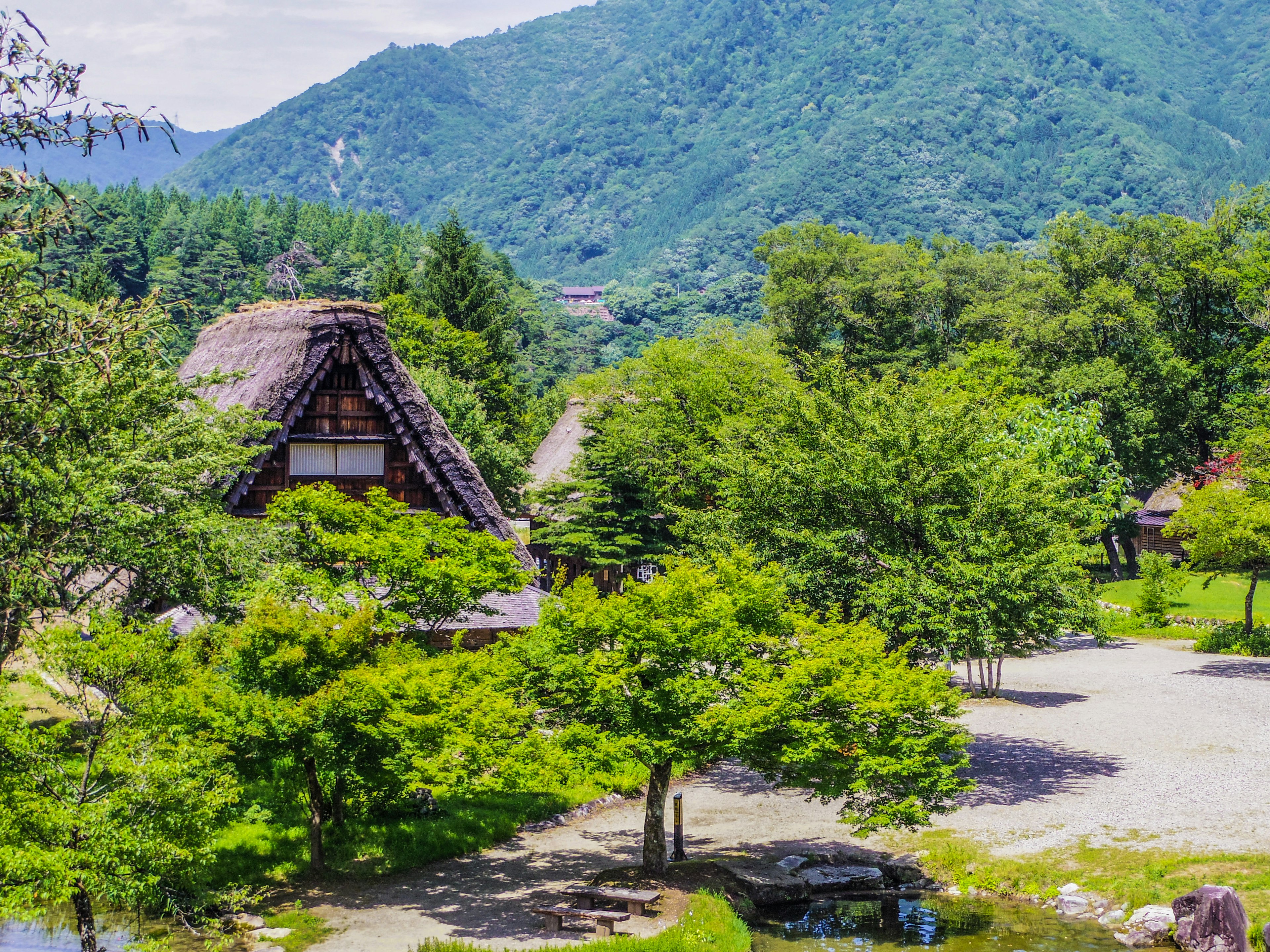 被郁郁葱葱的绿树和山脉环绕的传统日本房屋