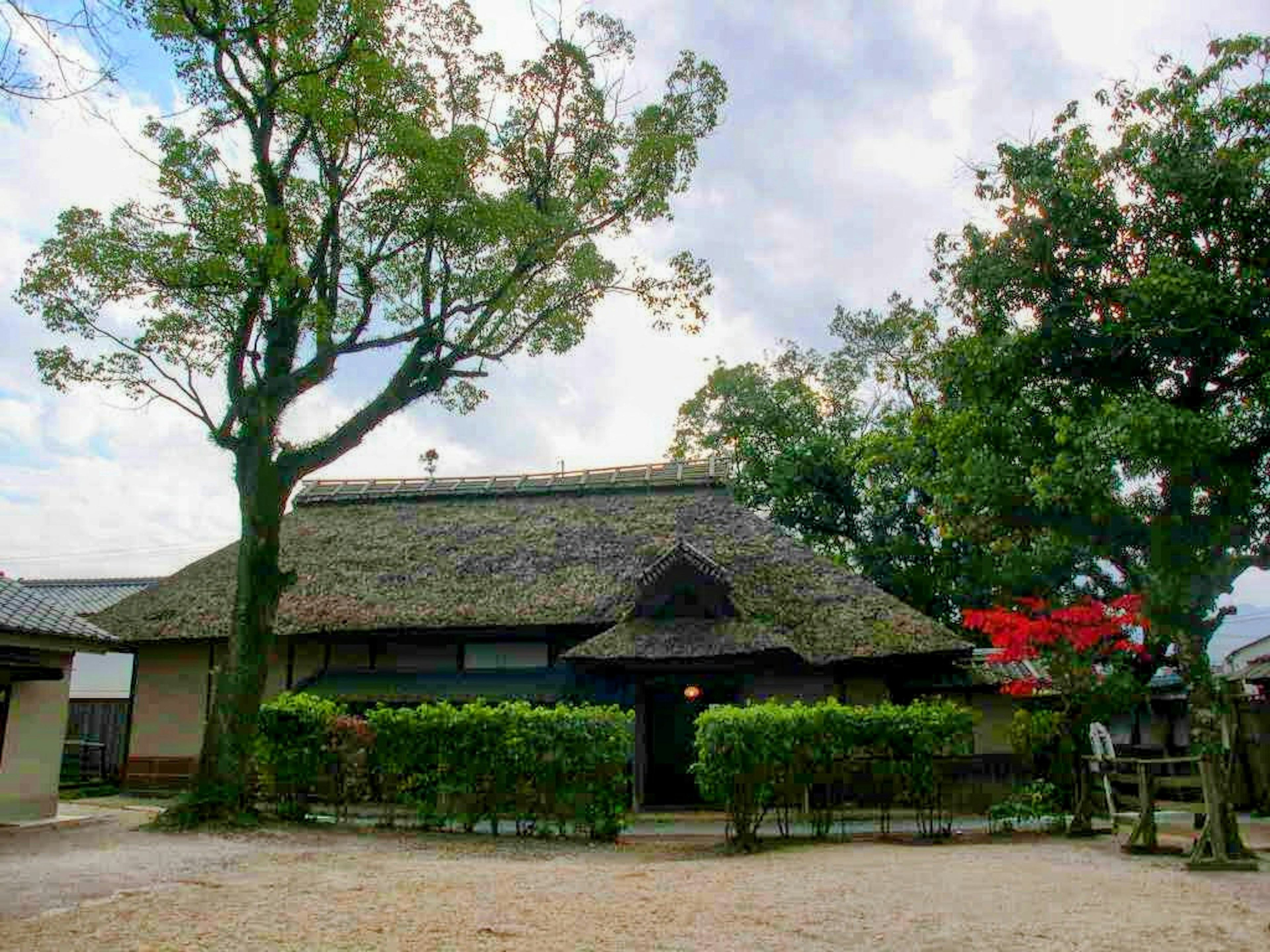 Rumah tradisional Jepang dengan atap jerami dan pohon di sekitarnya