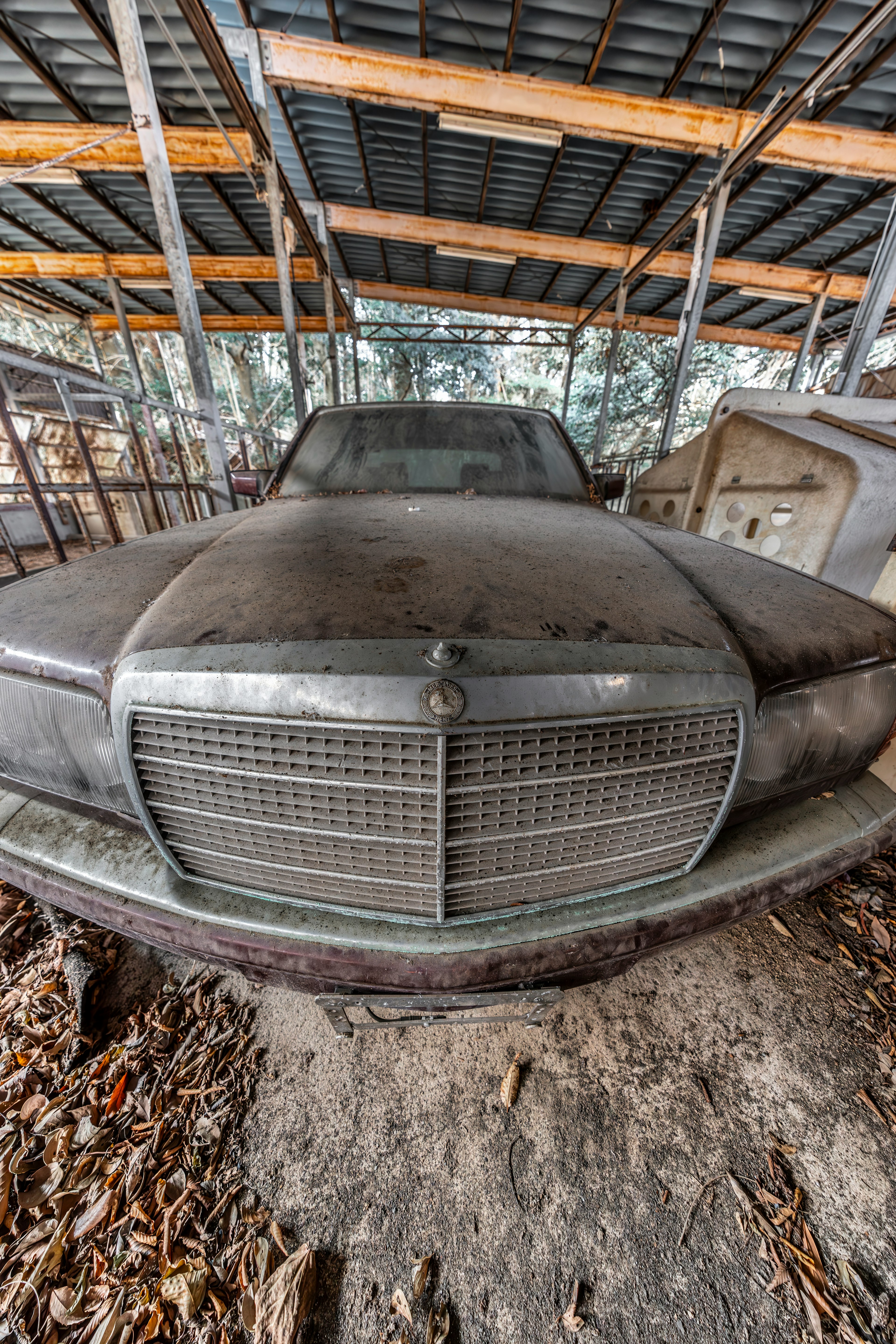 Coche antiguo Mercedes cubierto de polvo