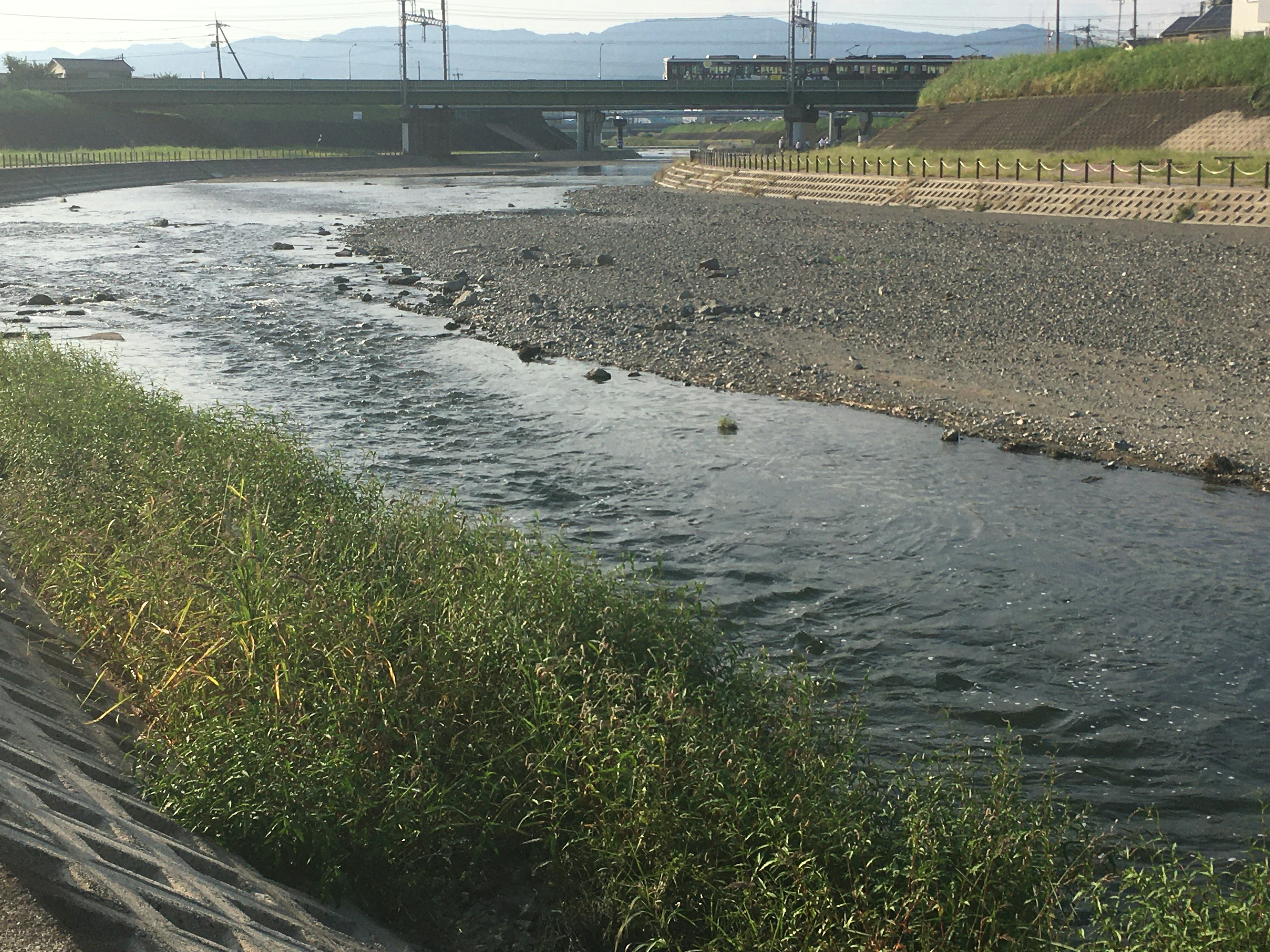 Pemandangan sungai yang indah dengan air mengalir dan vegetasi subur