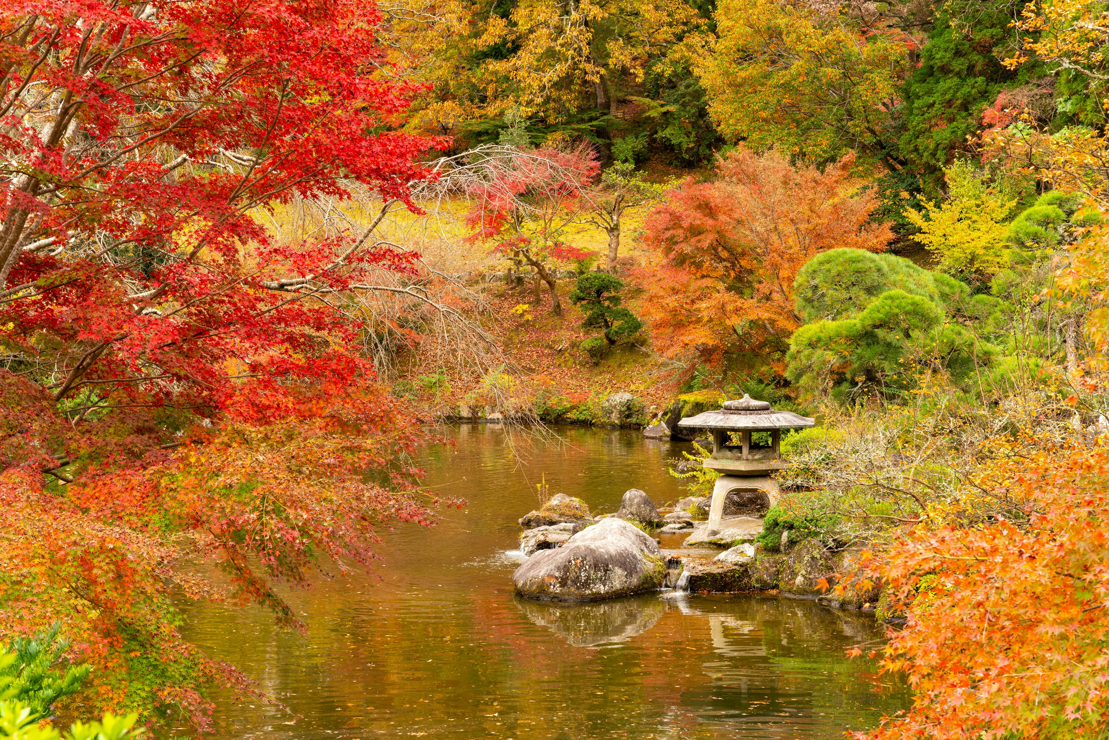 Beau paysage d'automne avec un feuillage coloré se reflétant dans l'étang