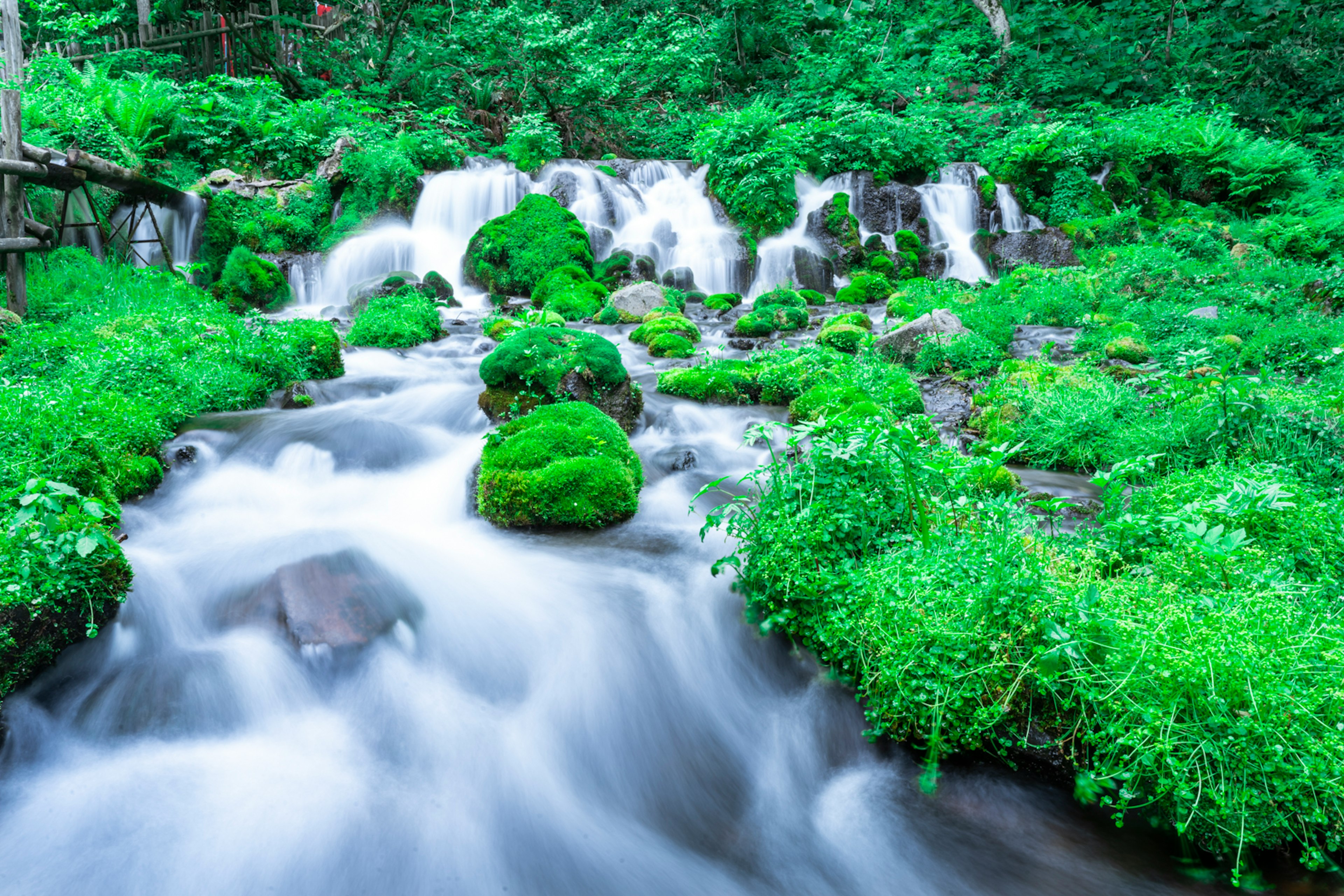 Une vue pittoresque d'un ruisseau avec de petites chutes d'eau entourées de verdure luxuriante