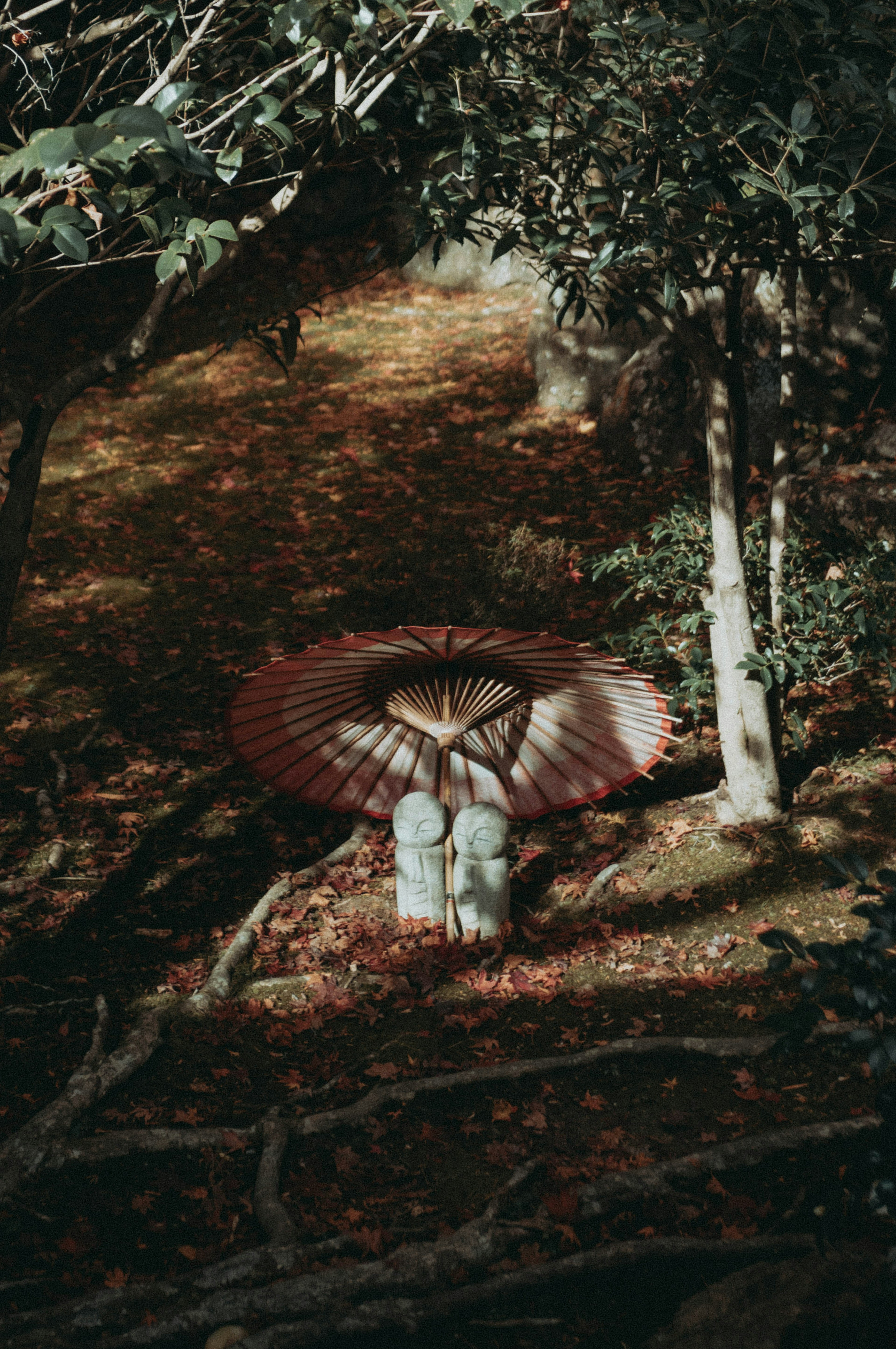 Large umbrella and white object in an autumn forest