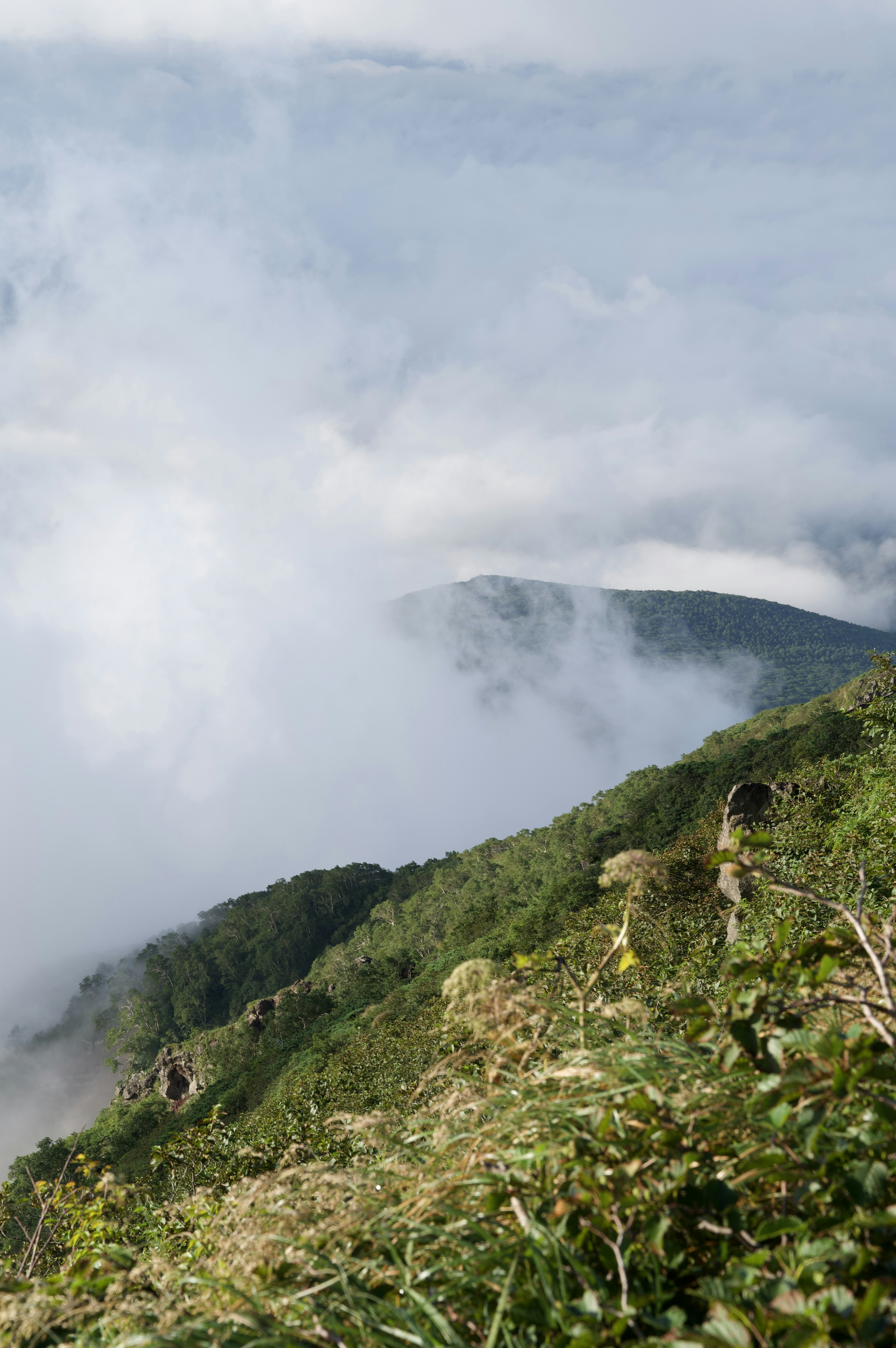 Paesaggio montano avvolto nella nebbia con vegetazione lussureggiante e nuvole