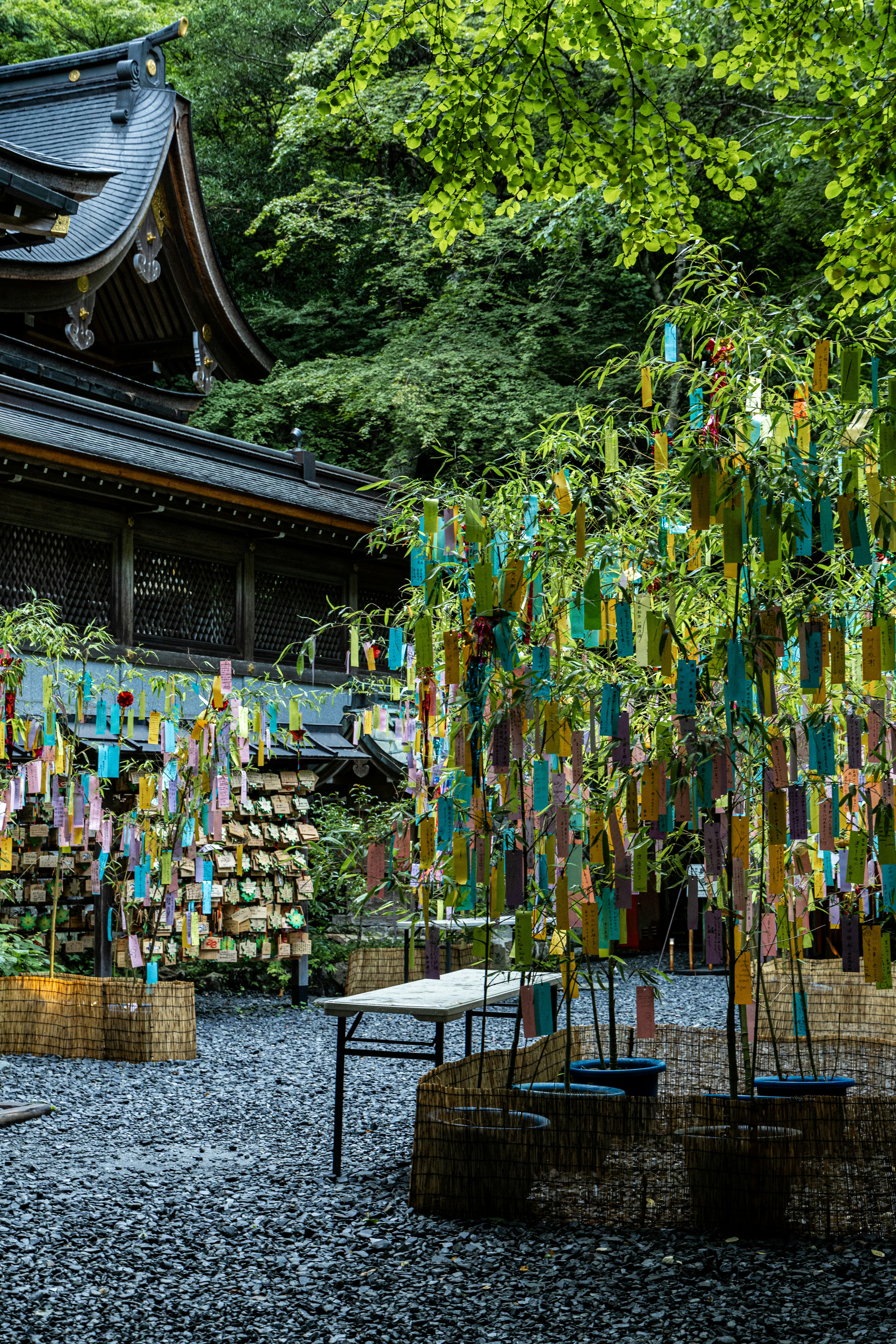 A vibrant display of colorful strips of paper hanging in a shrine garden surrounded by greenery