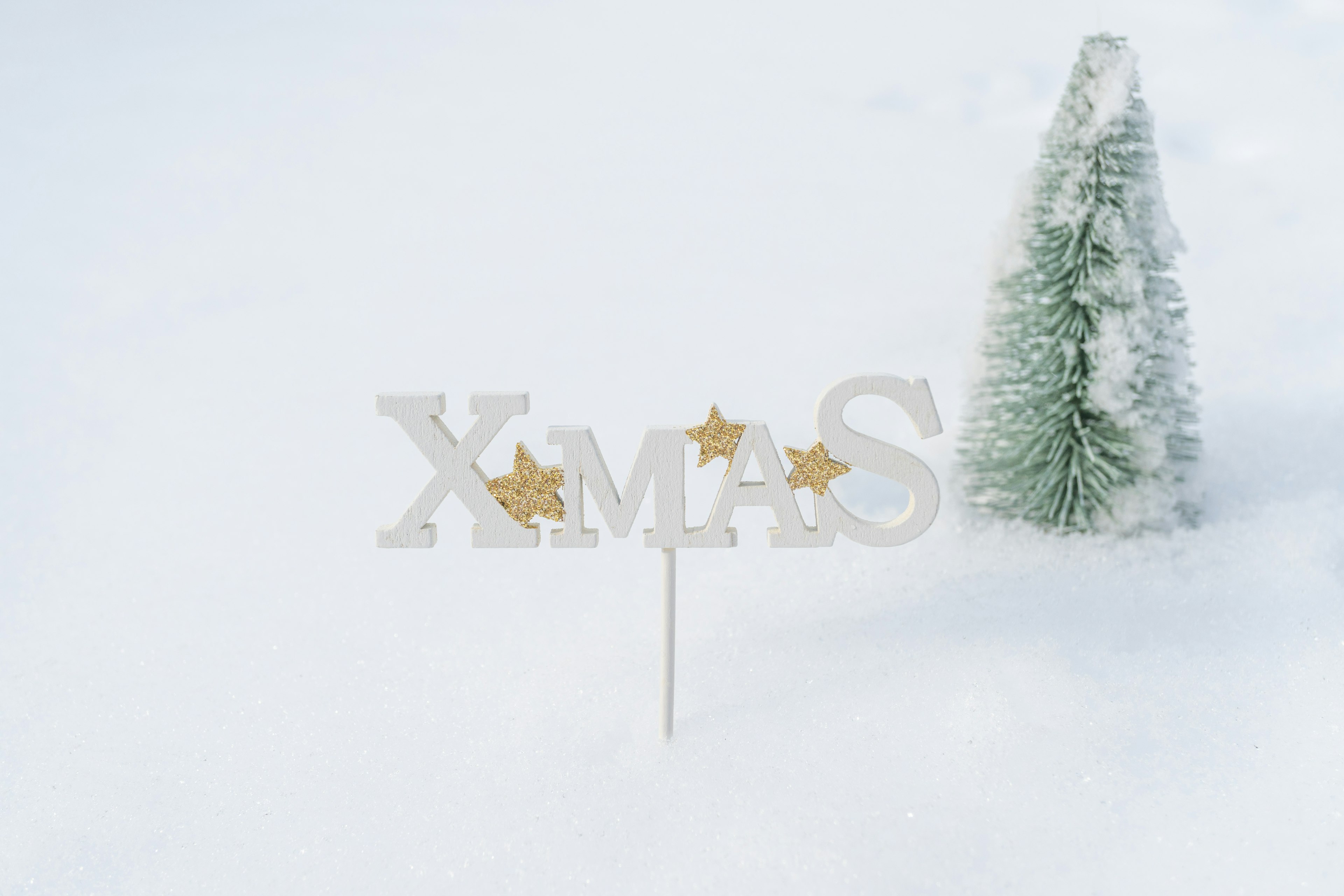 XMAS sign in snow with a small tree