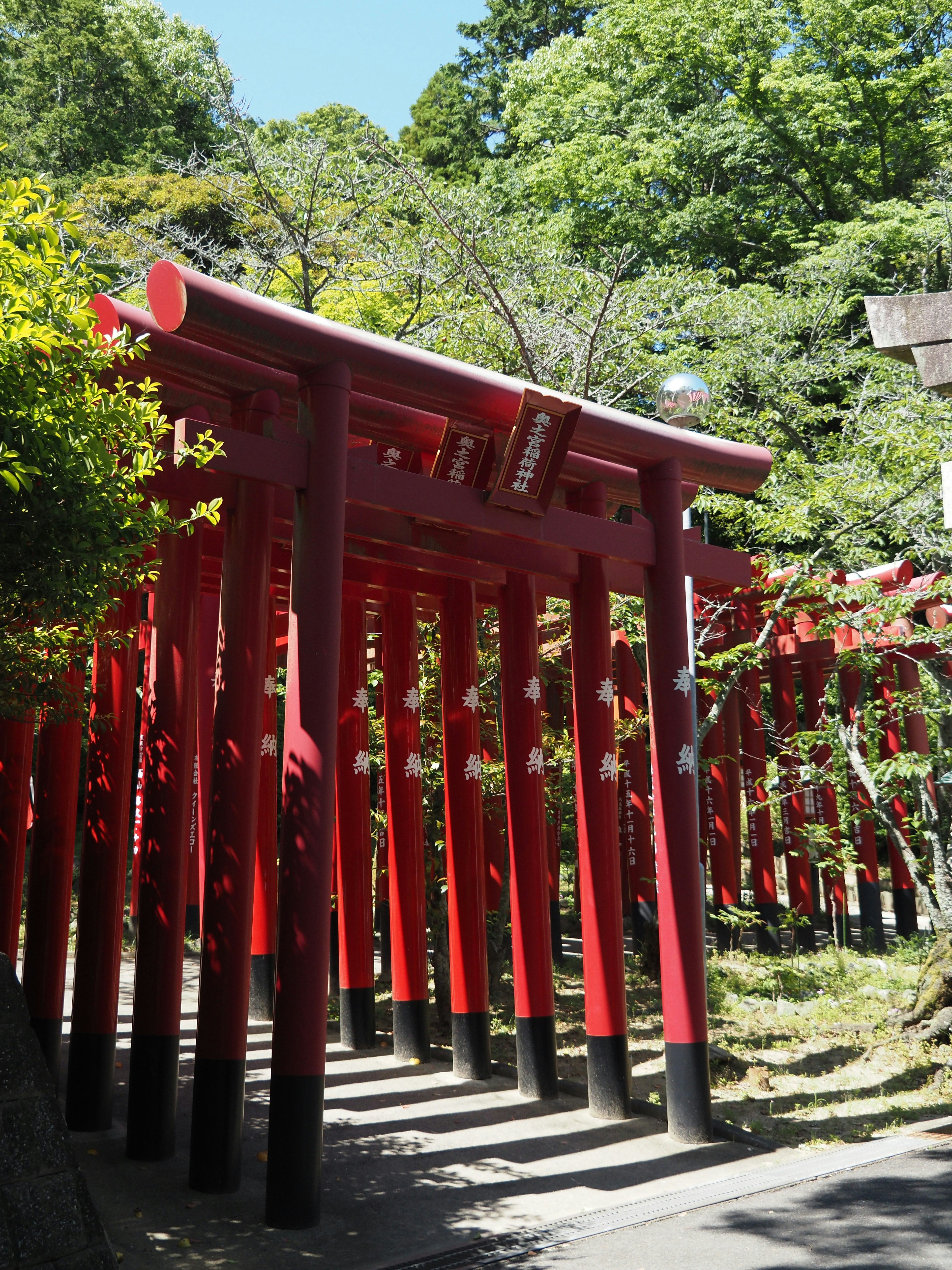 Pathway lined with red torii gates surrounded by lush greenery