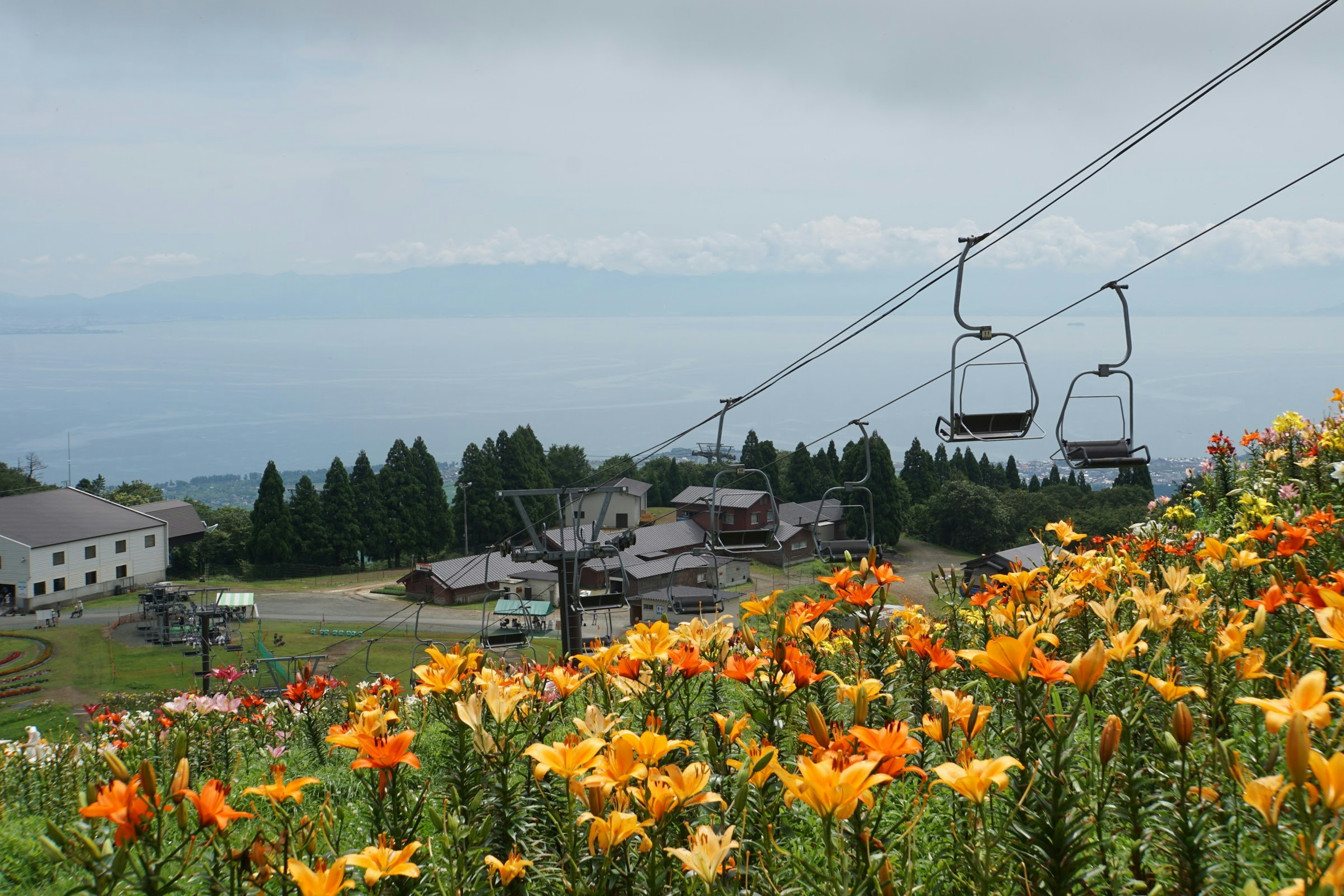 美しい花畑とリフトが見える山の風景