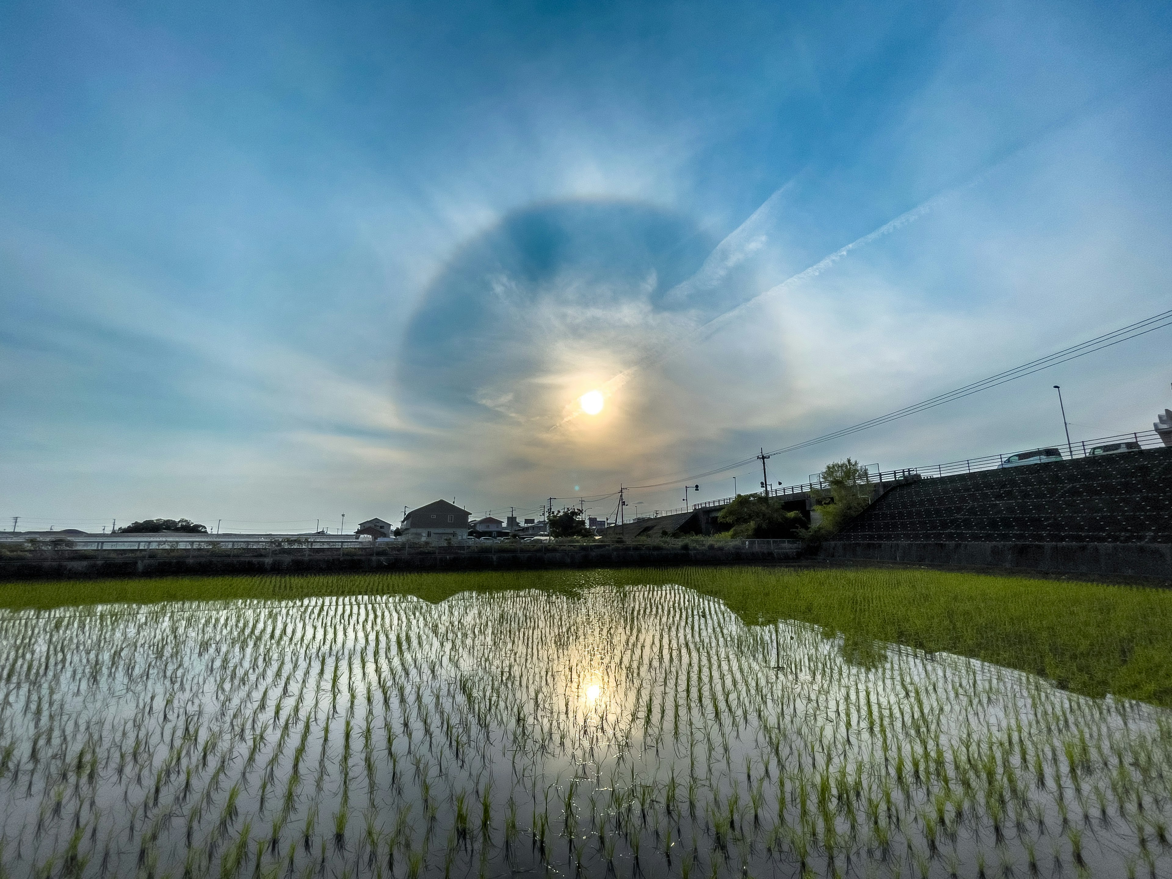 水田に映る太陽と青い空の風景