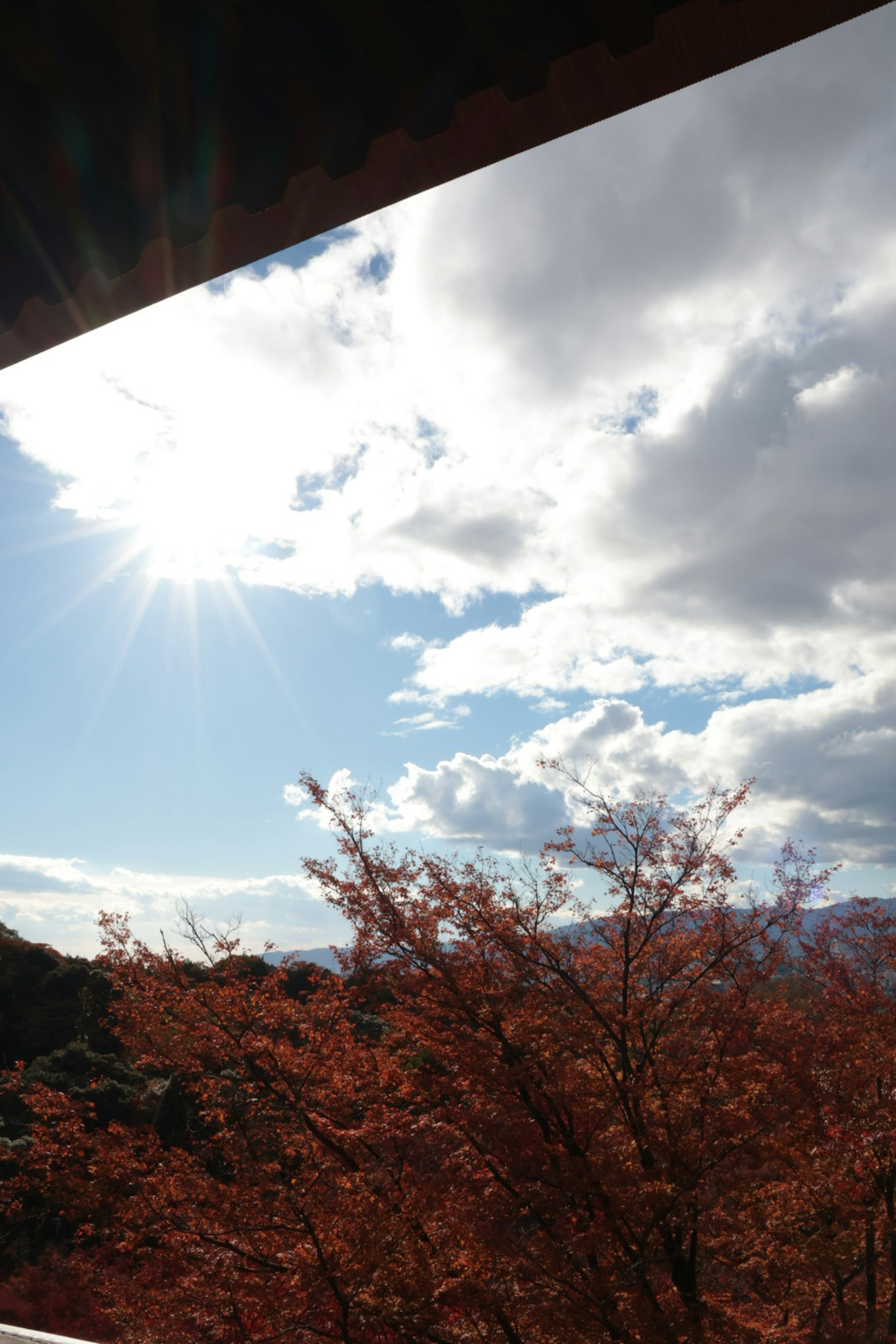 Luce solare che filtra tra le nuvole sopra il fogliame autunnale