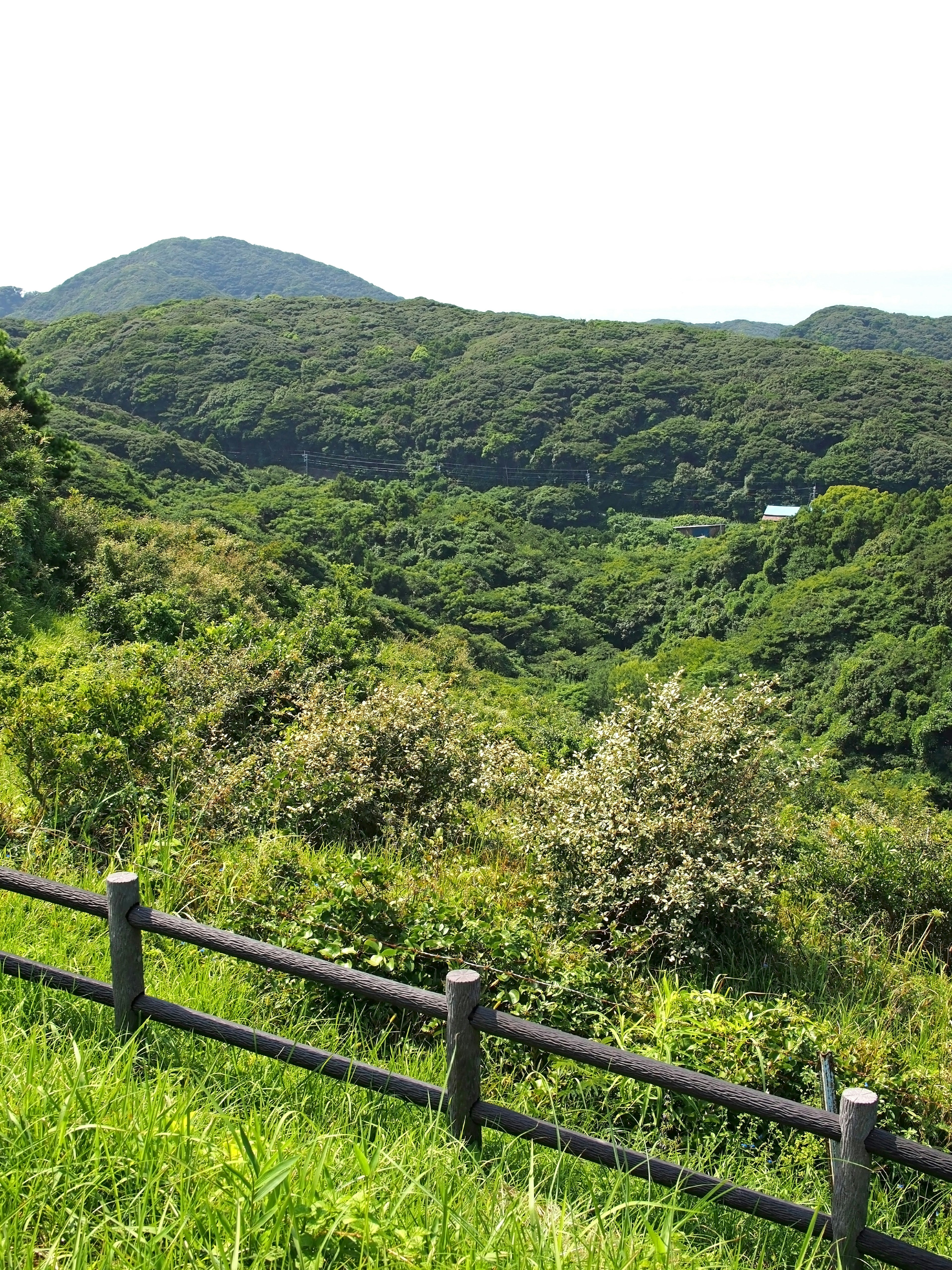 郁郁葱葱的山谷风景，木栅栏和远处的山脉