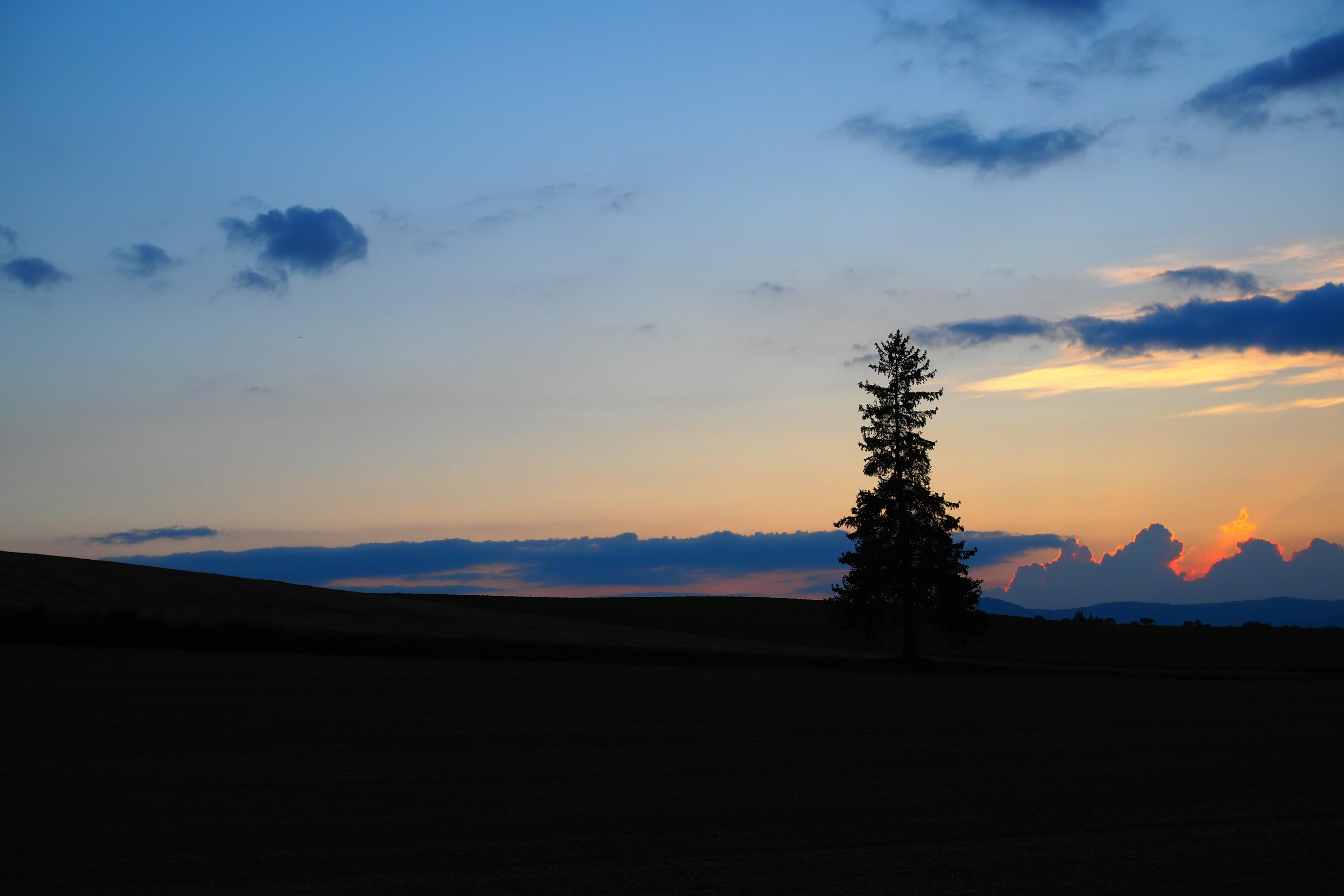 Silhouette of a solitary tree against a colorful sunset sky