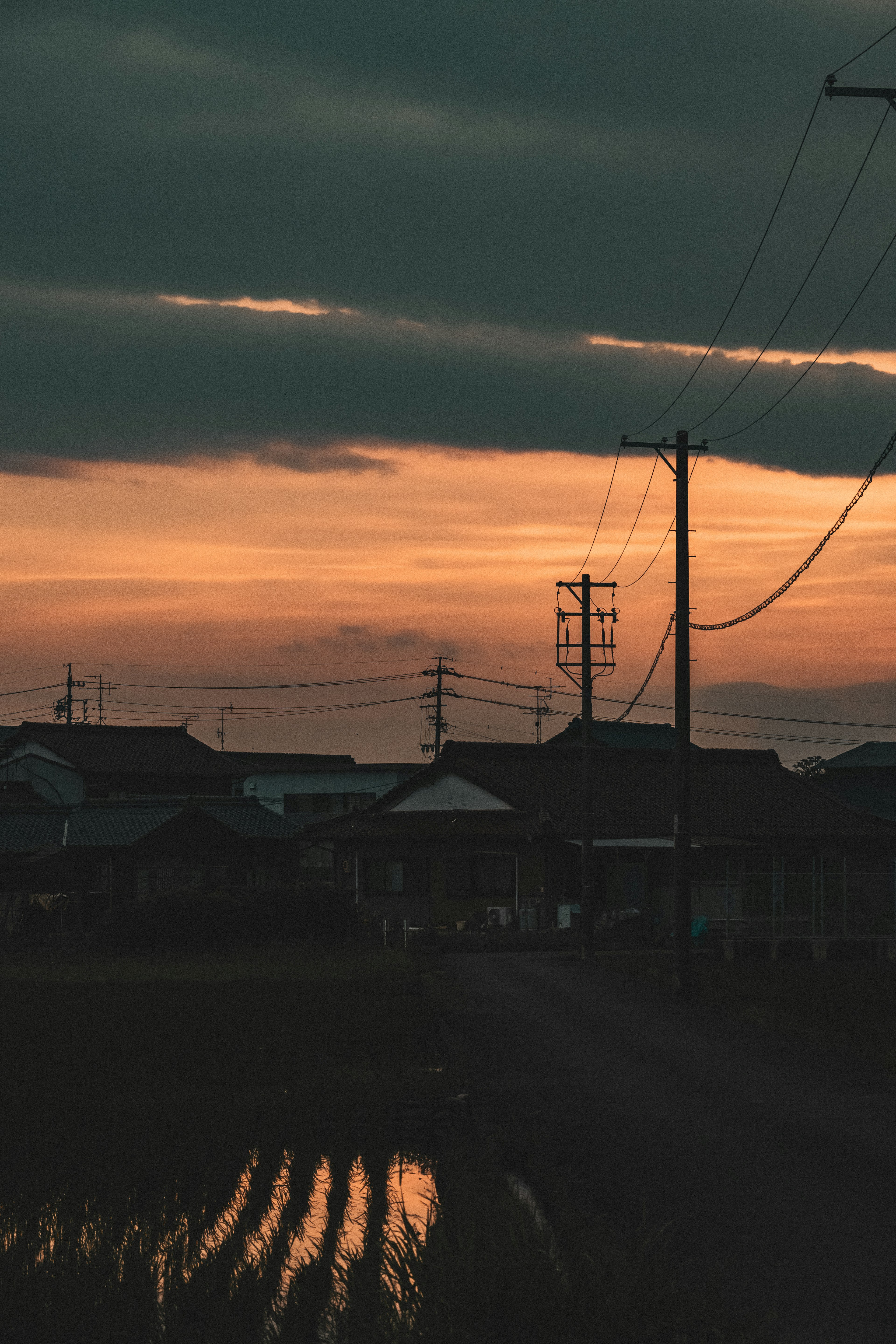 Silhouette de postes eléctricos contra un atardecer reflejado en el agua de un campo de arroz