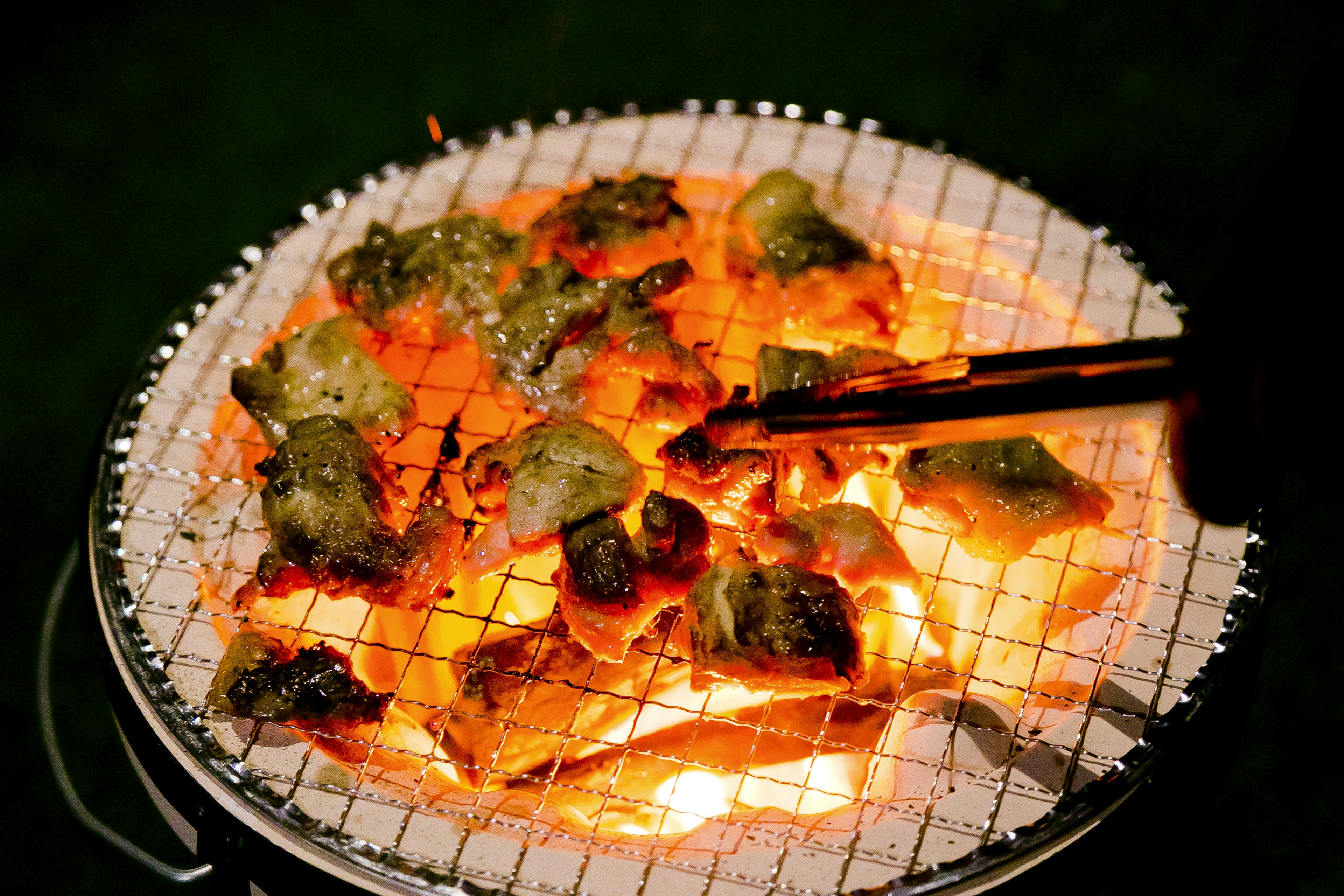 Grilled vegetables and meat on charcoal with tongs