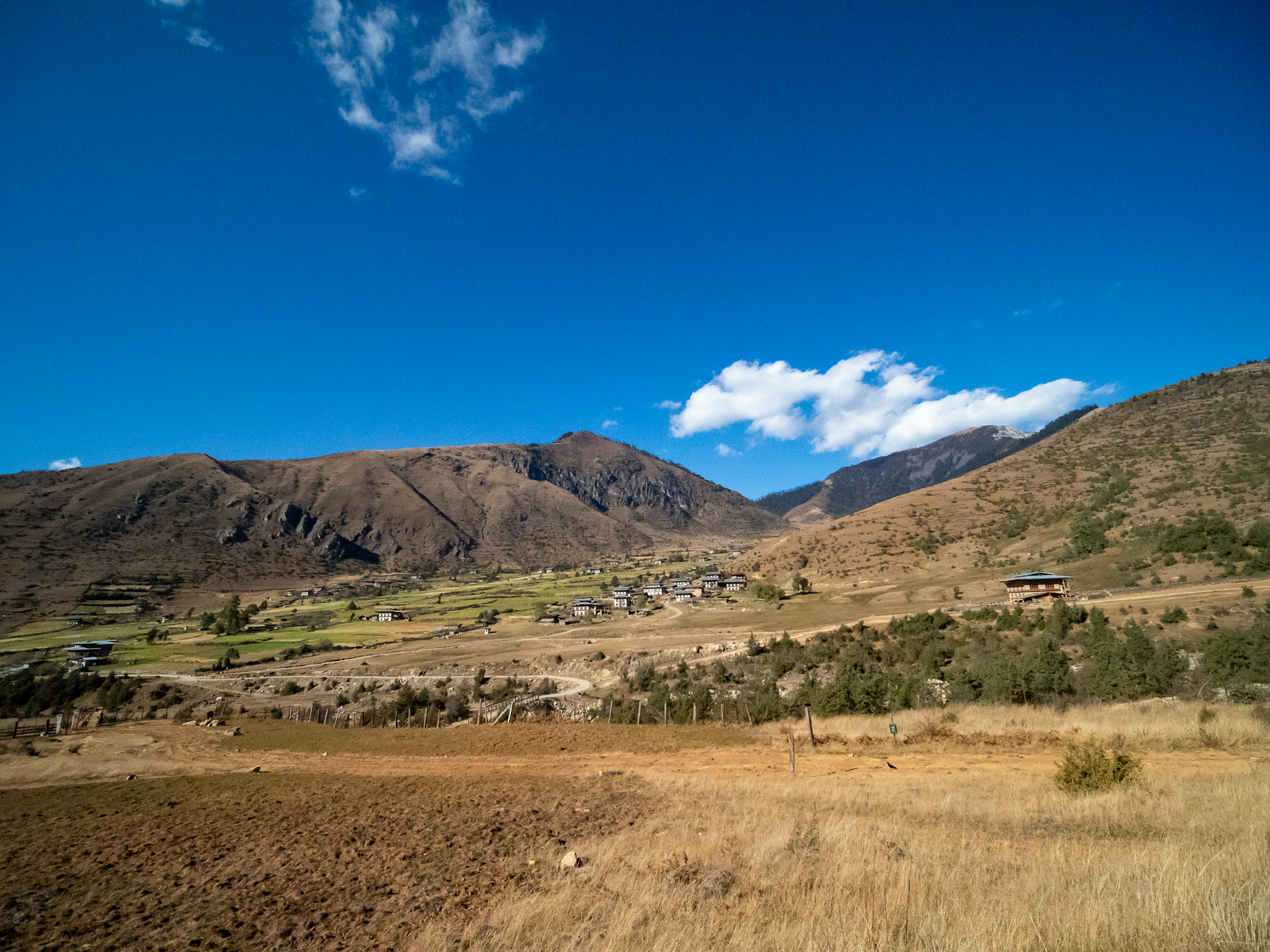 Paisaje con praderas secas y montañas bajo un cielo azul