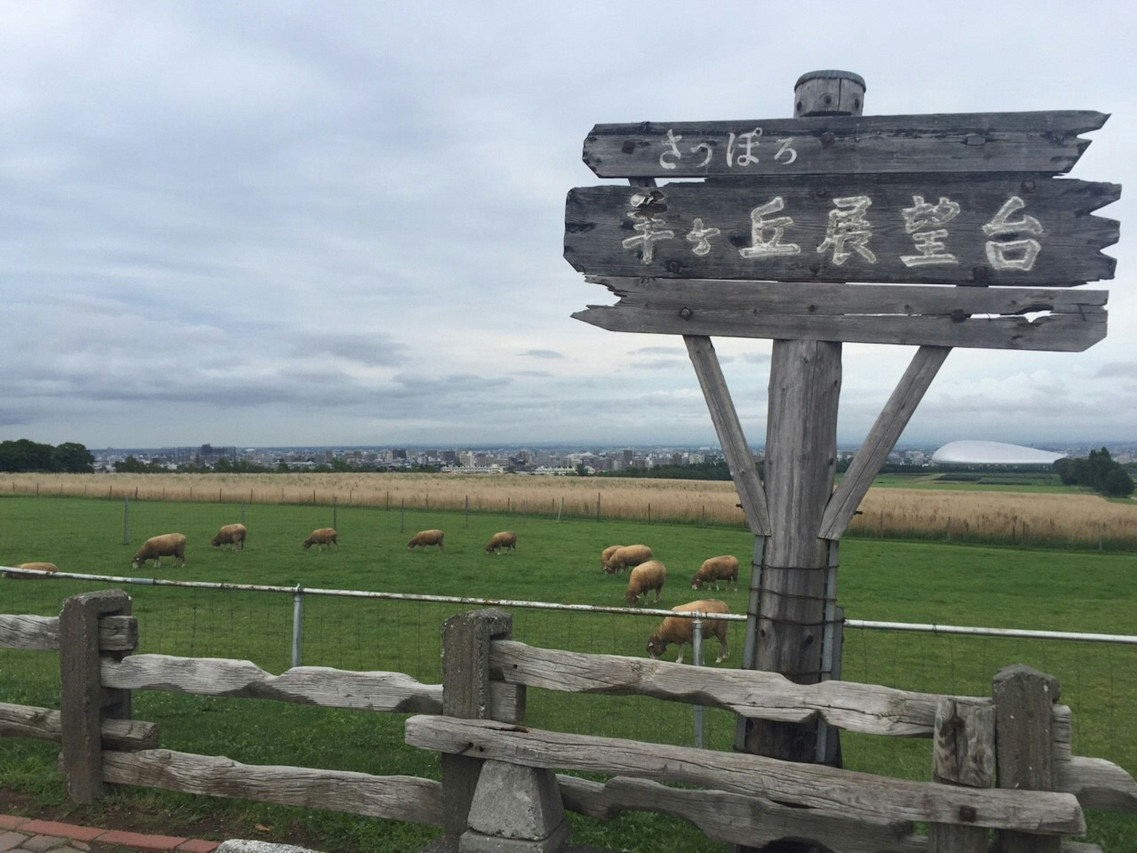 A landscape featuring sheep on a pasture and a wooden sign