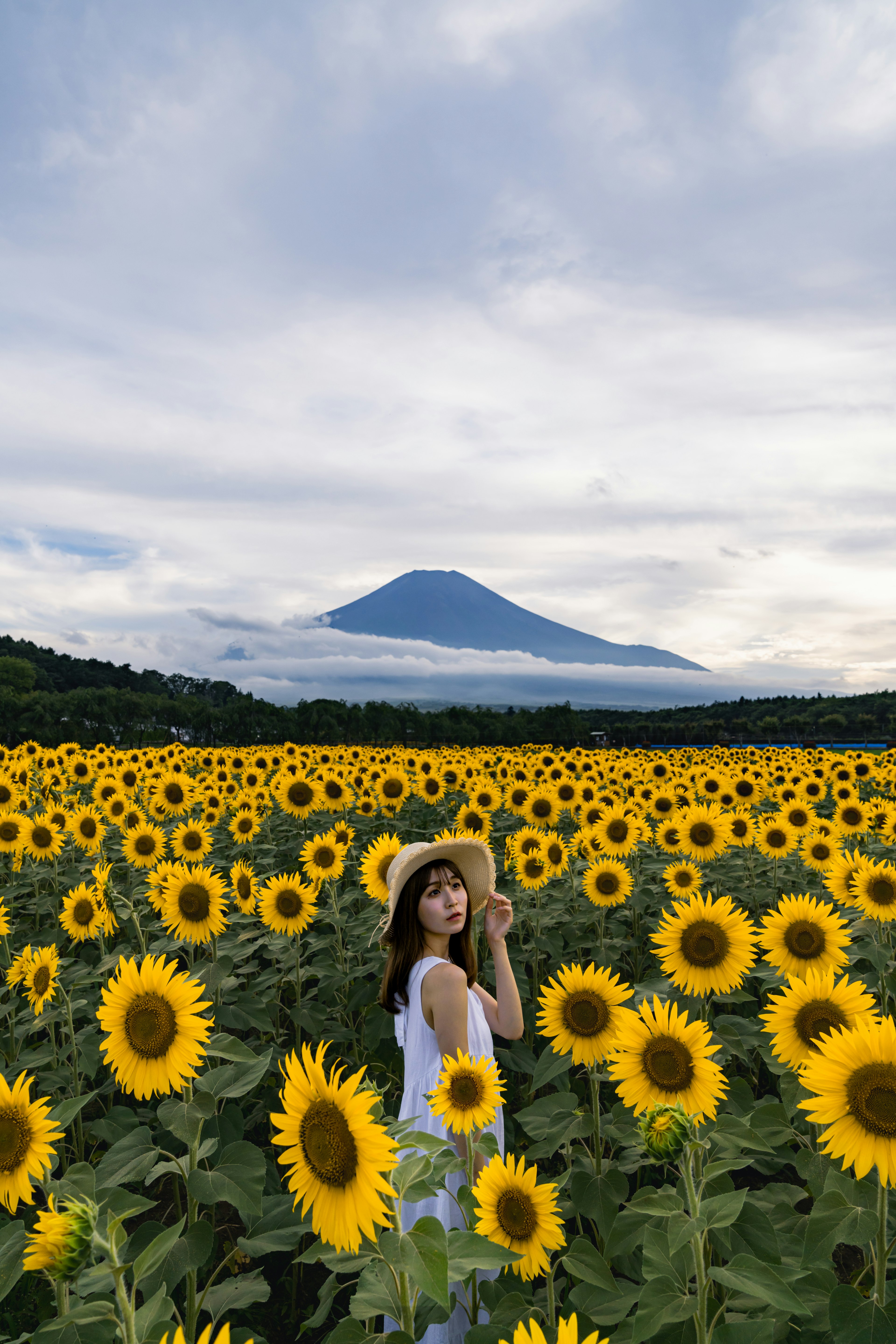 Seorang gadis berdiri di ladang bunga matahari dengan Gunung Fuji di latar belakang