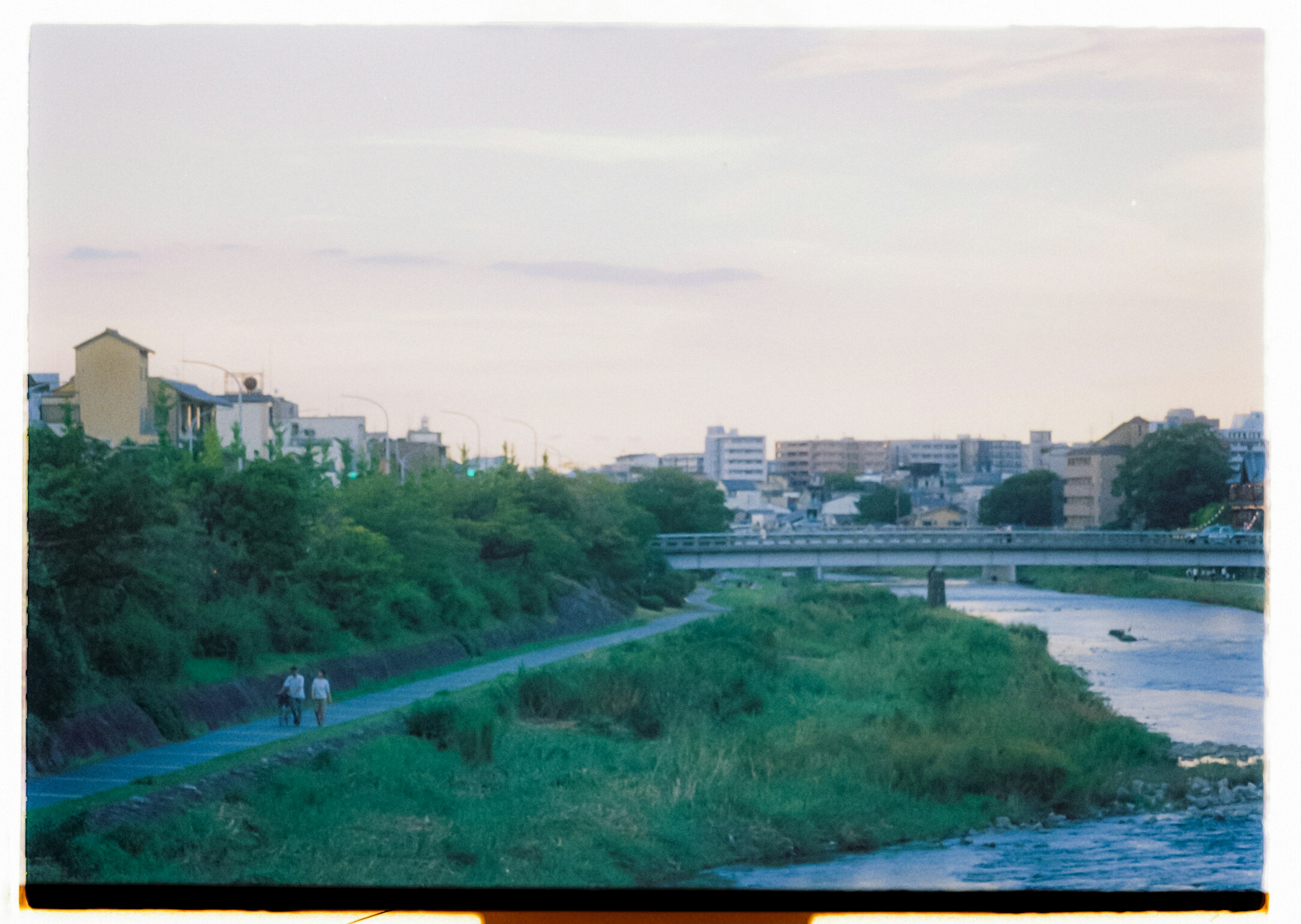 河岸風景，綠樹成蔭和建築物