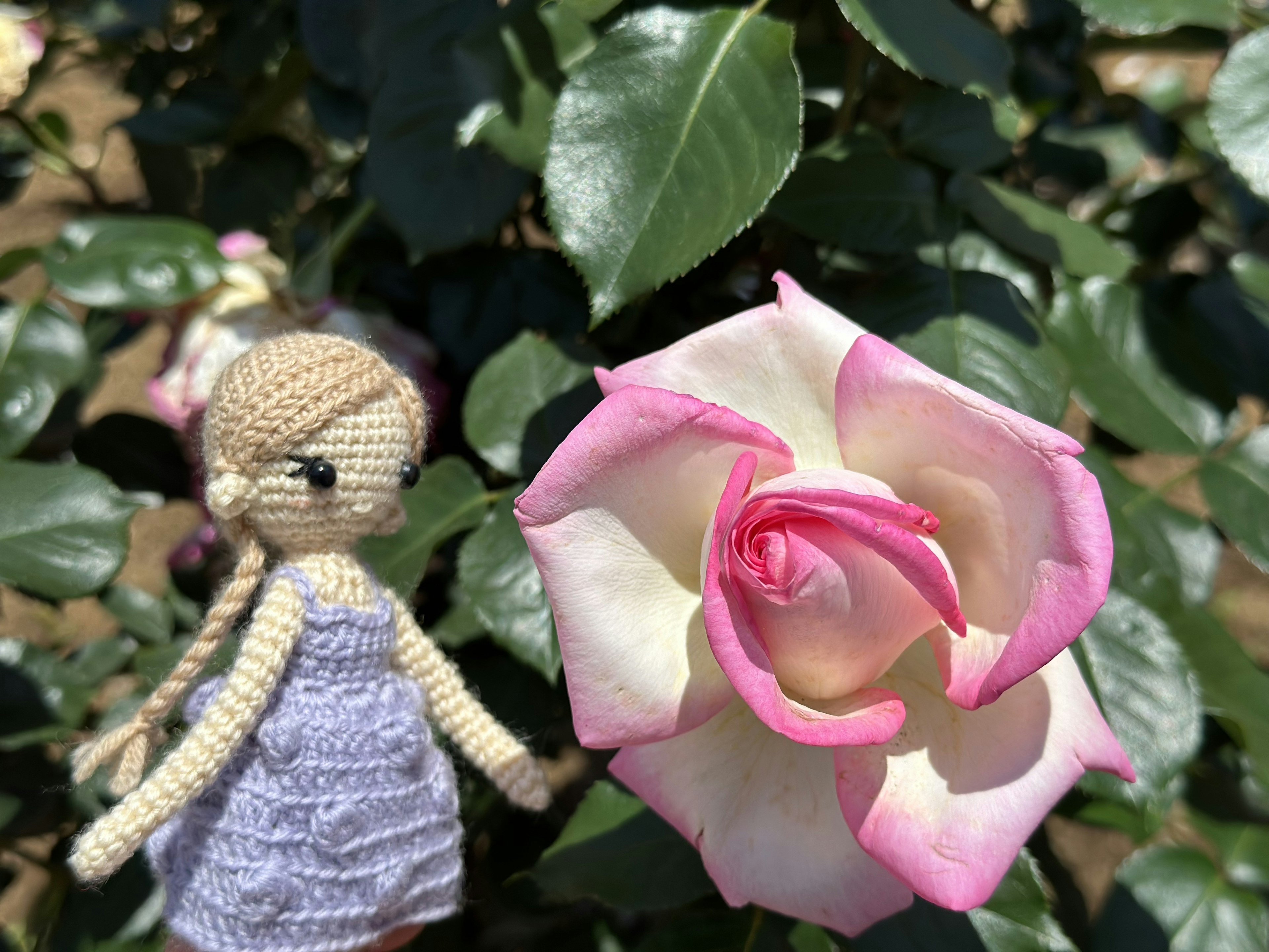 Une poupée en crochet à côté d'une rose rose