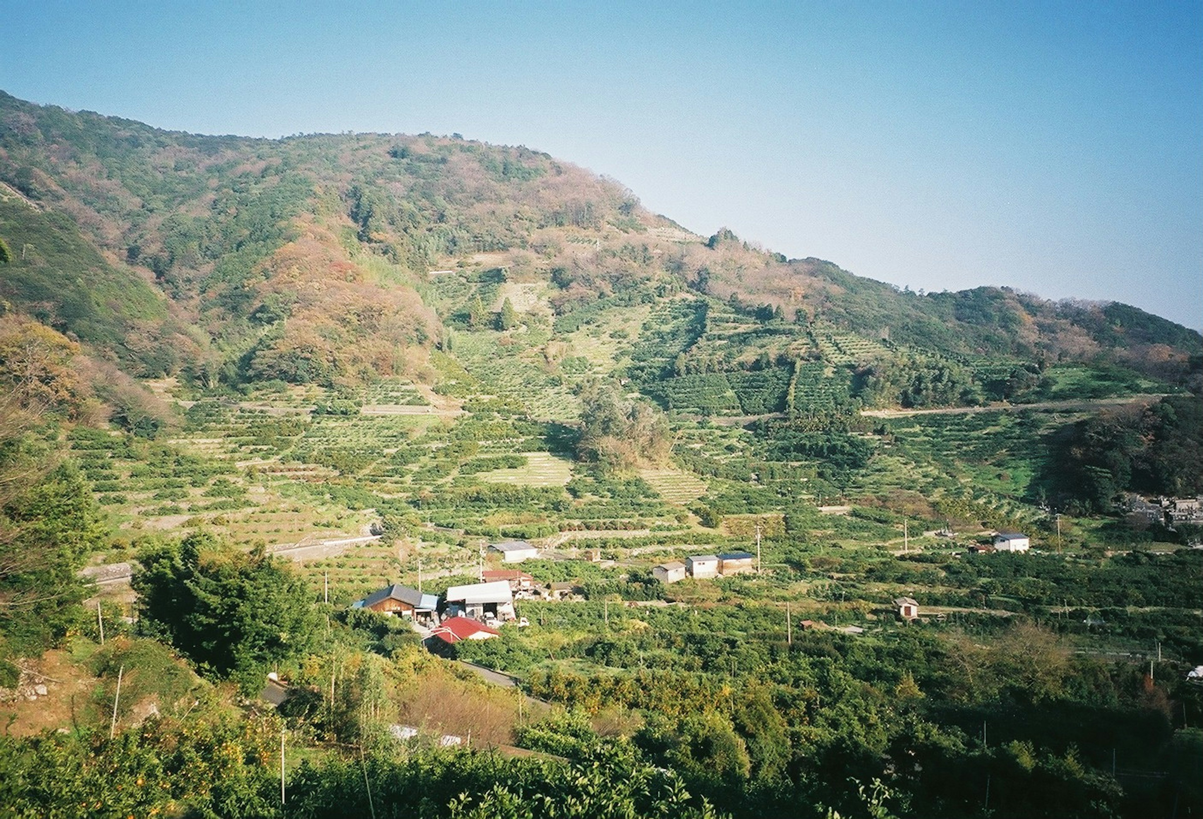 緑豊かな山々と段々畑が広がる風景に小さな家々が点在する