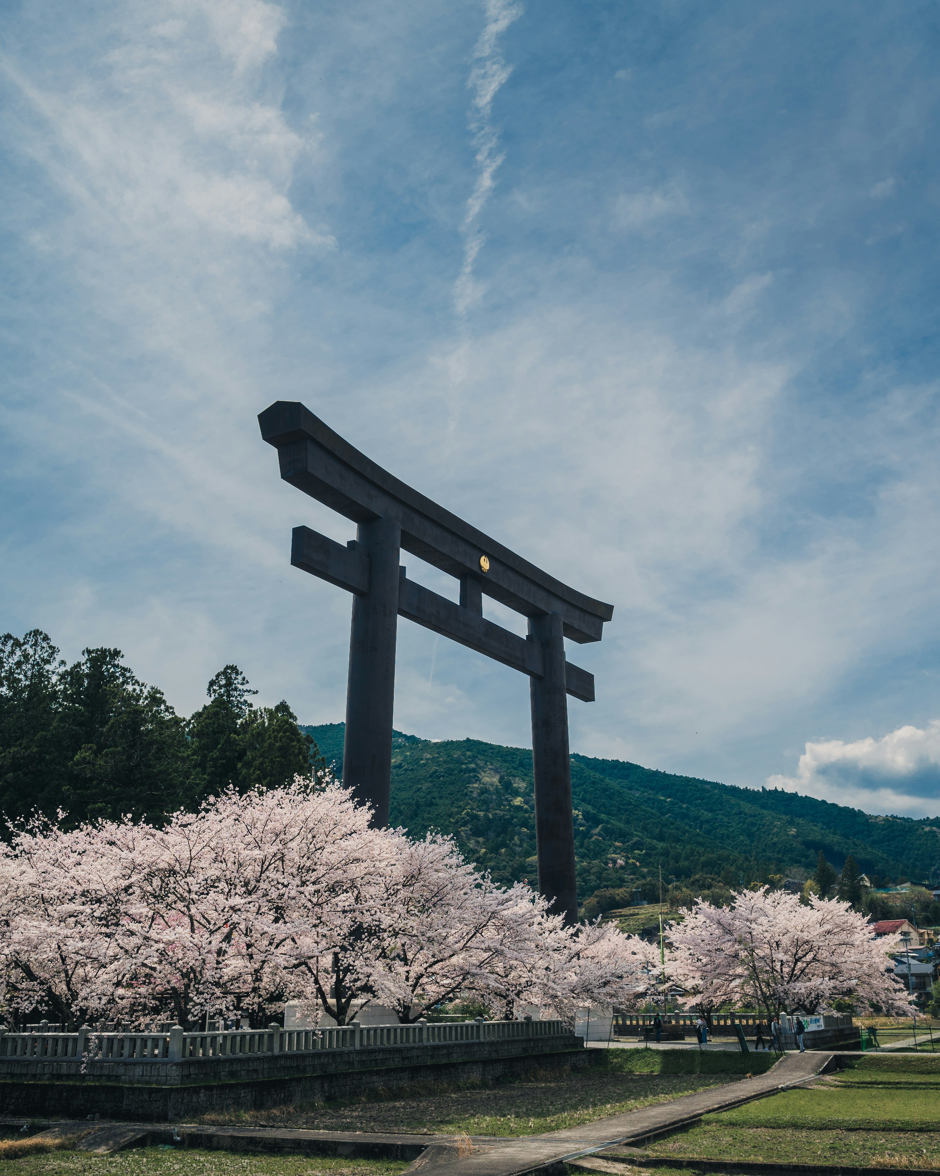 桜の木に囲まれた大きな鳥居と青空