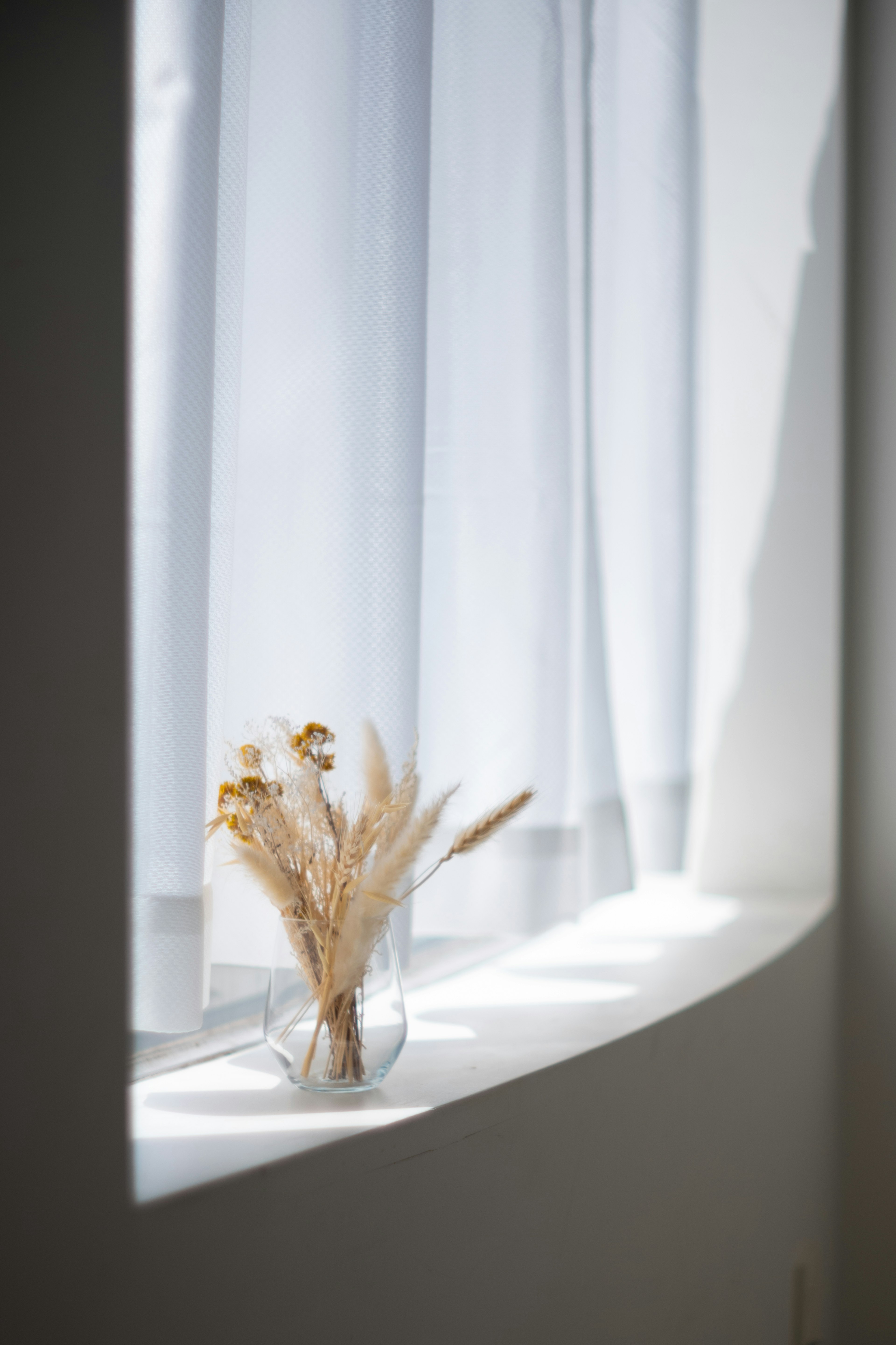 A vase of dried flowers on a windowsill with soft light streaming through sheer curtains