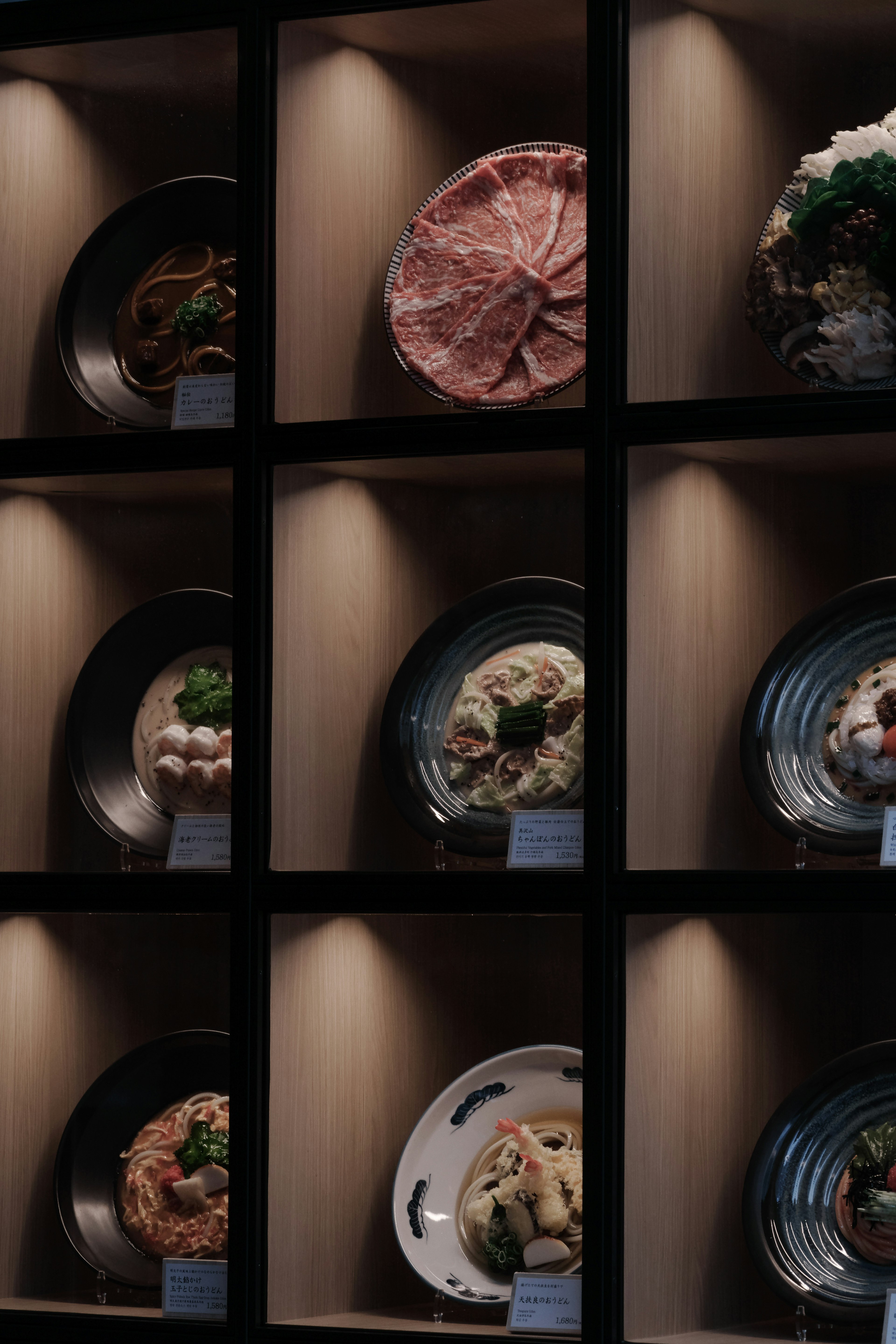 Display case showcasing beautifully arranged plates of food illuminated by soft lighting