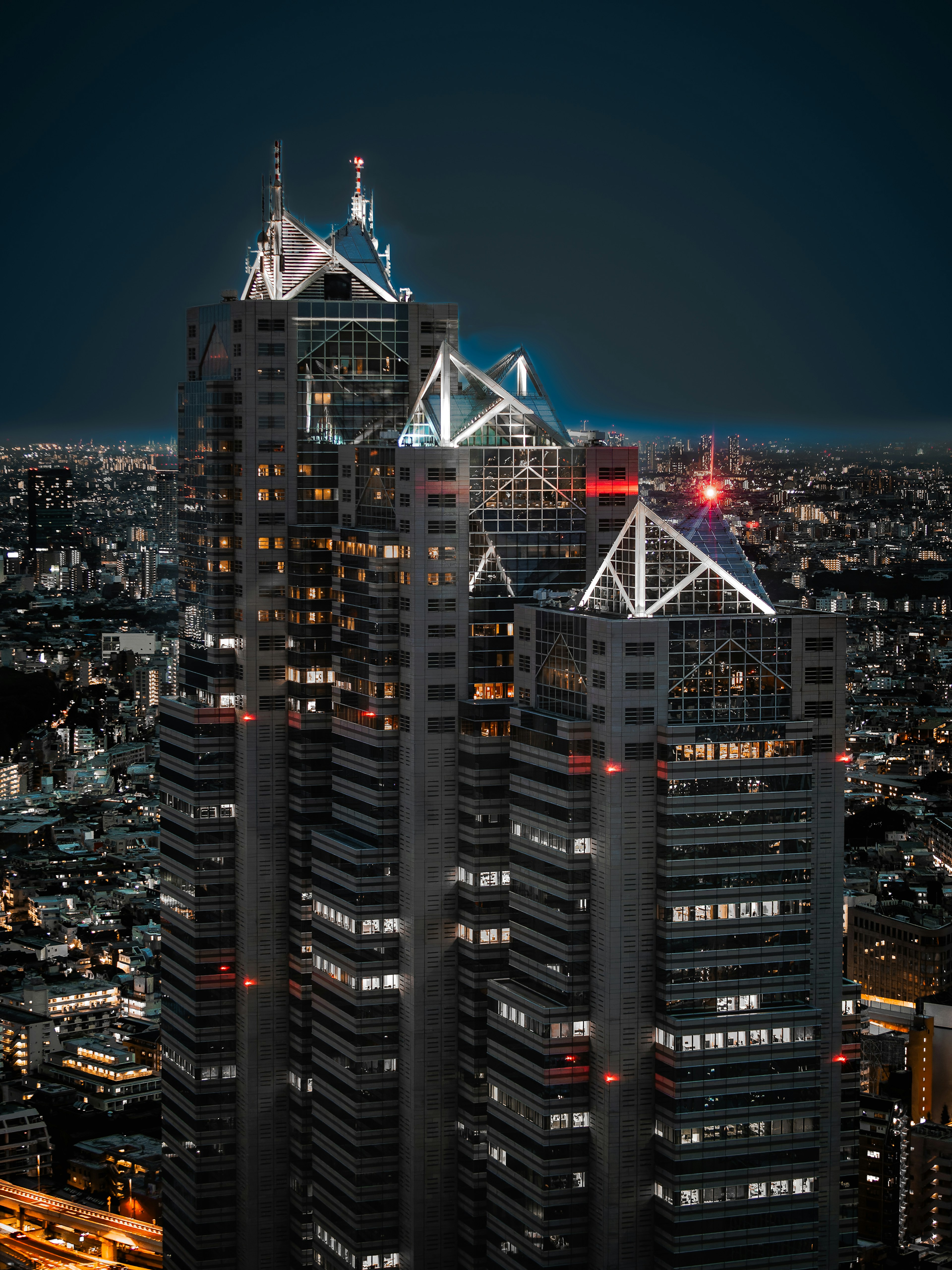 Night view of Tokyo skyscrapers with illuminated rooftops